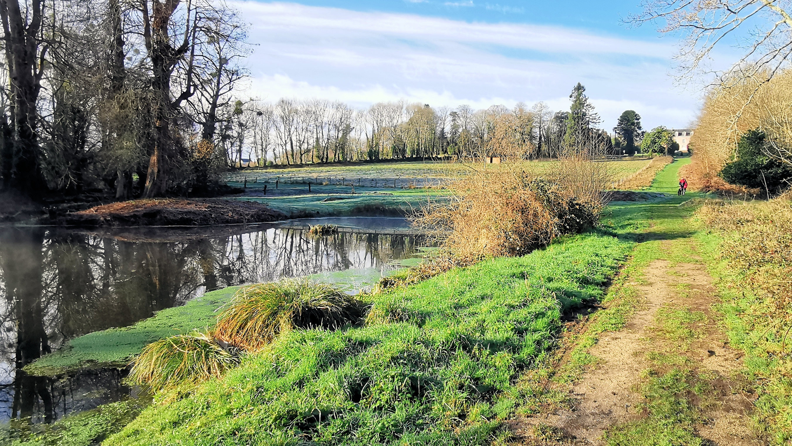 52-IMG_20210207_103939