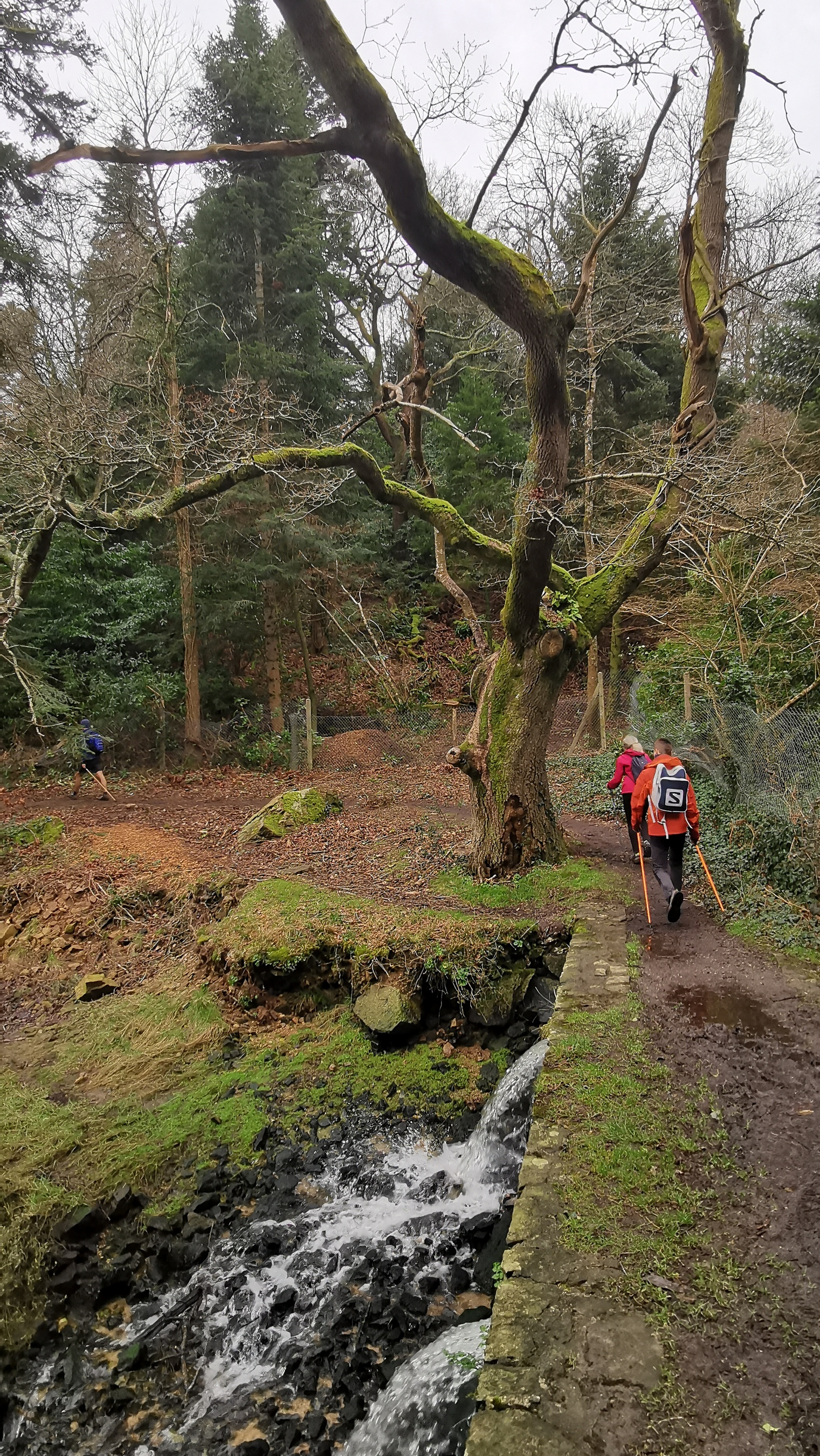 092-IMG_20210220_114731_1