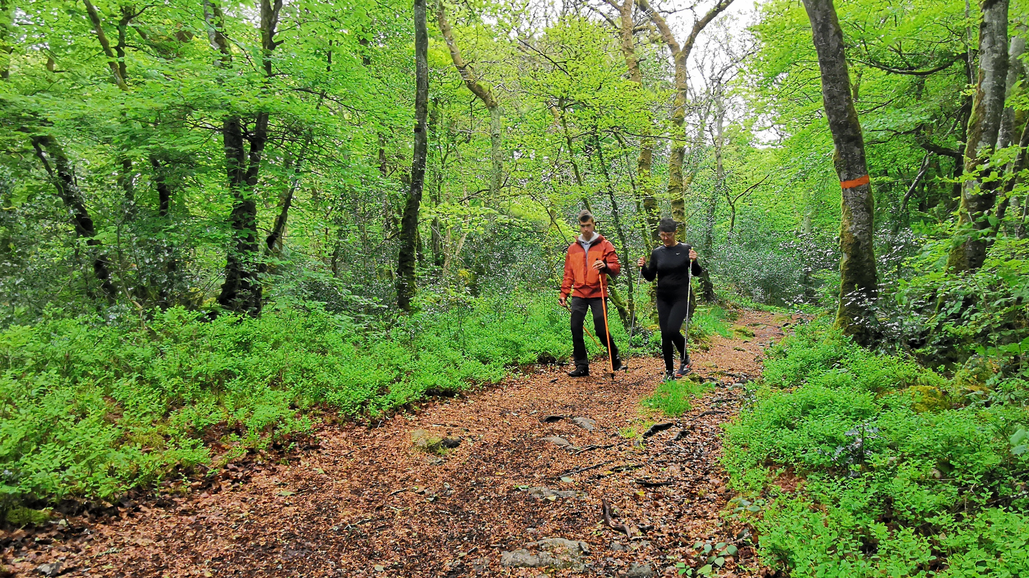 30-IMG_20210508_103827