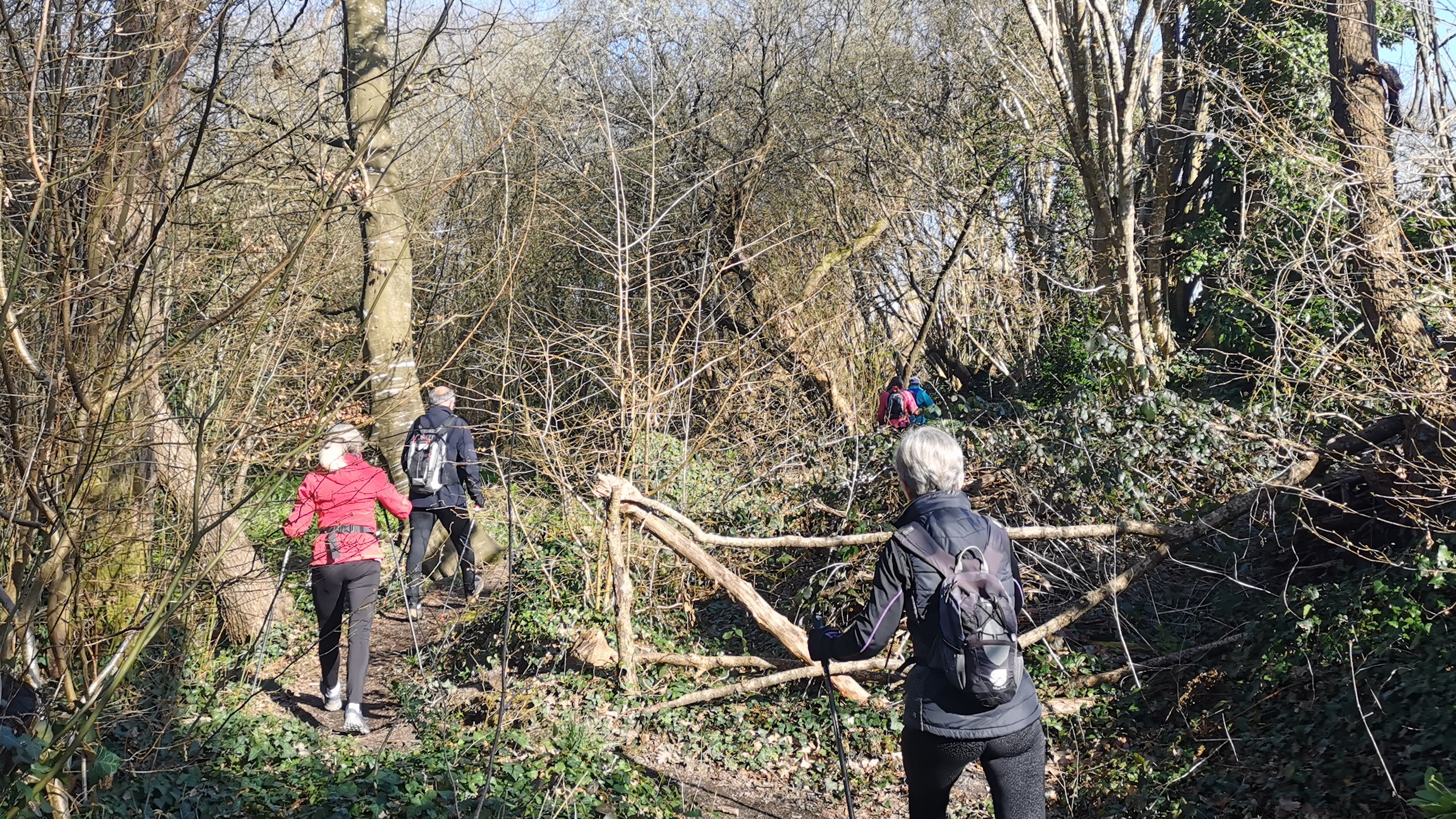 16-IMG_20210318_095948