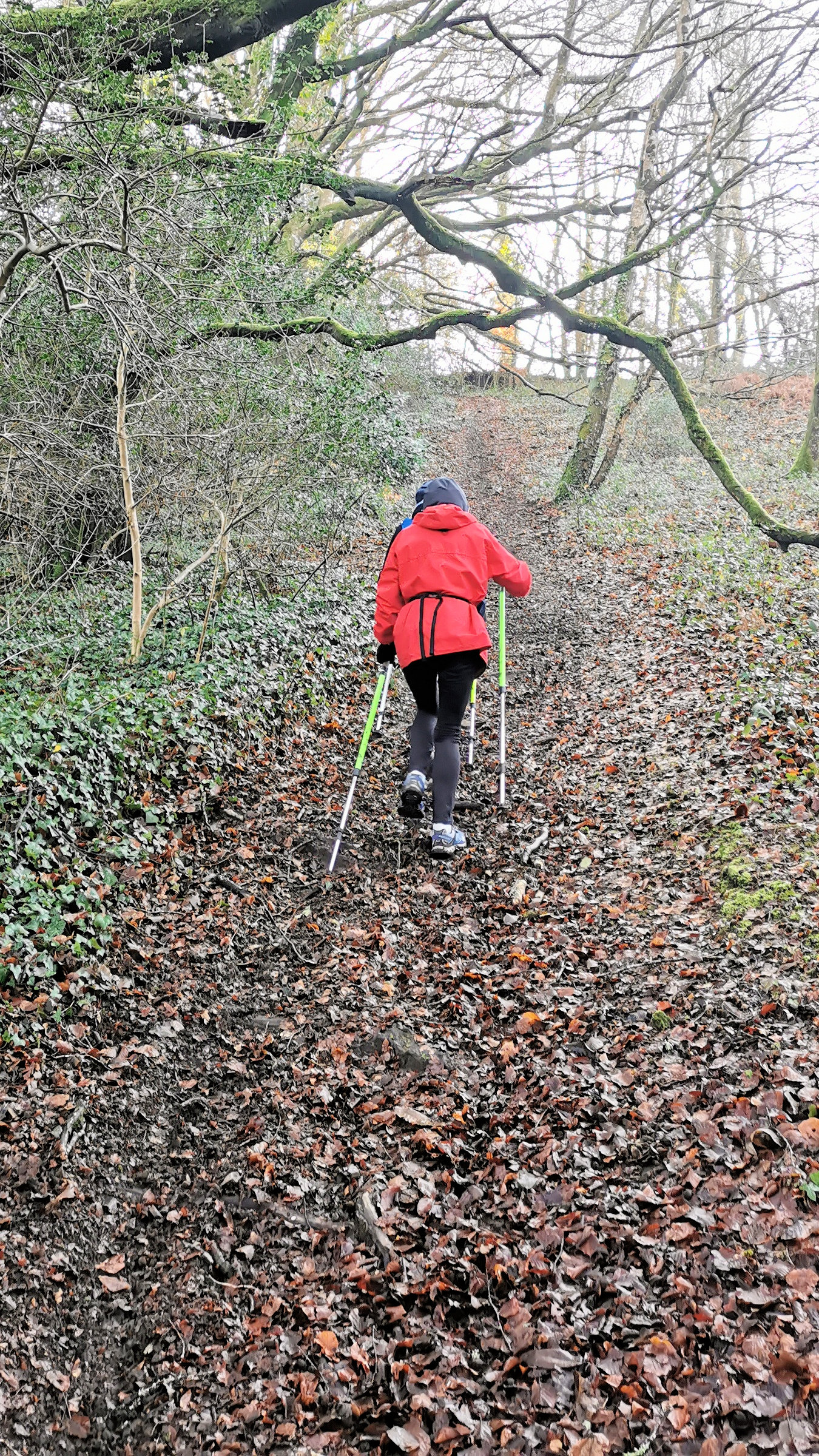 09-IMG_20210105_104755