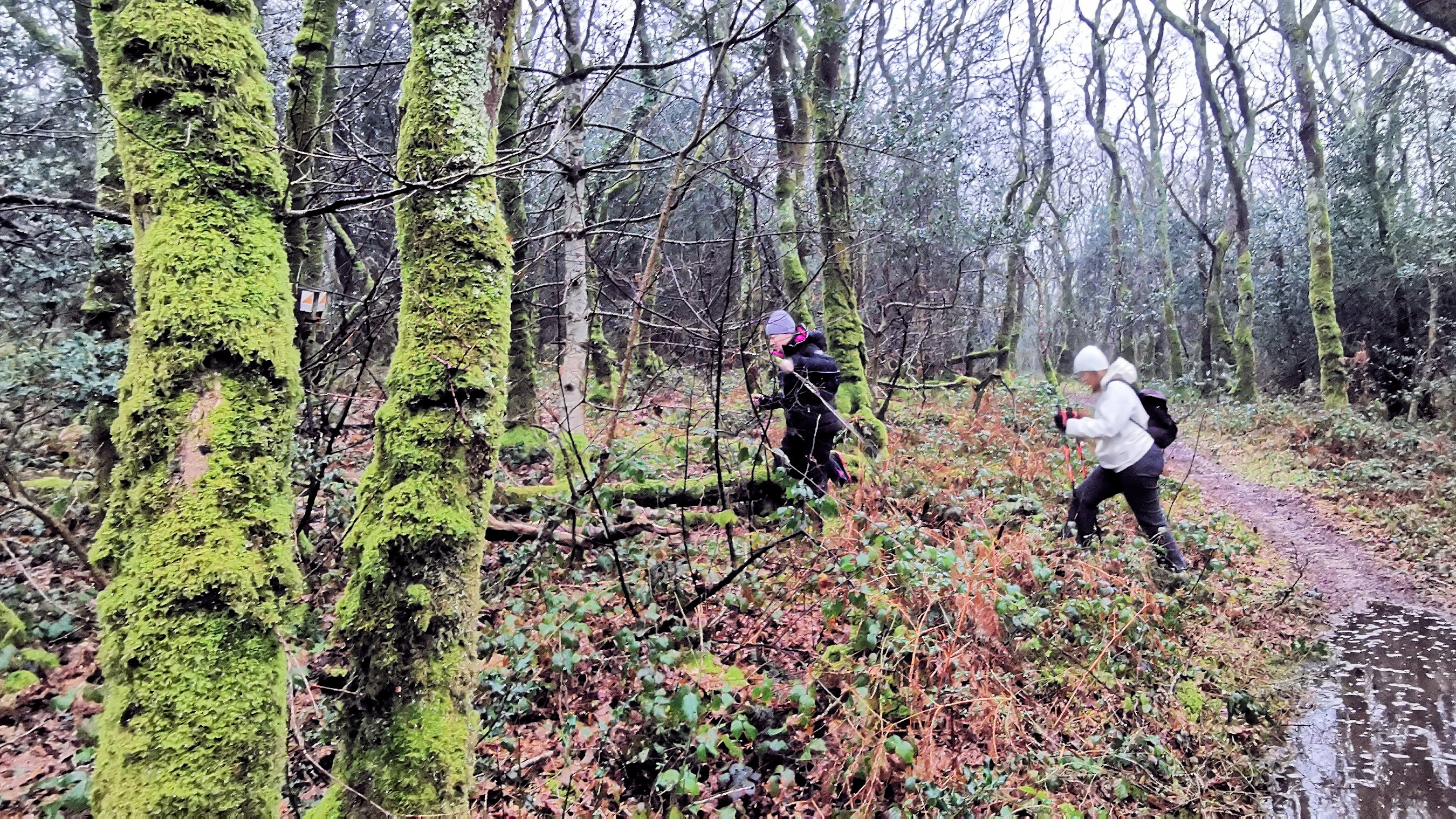 10-IMG_20210214_100829