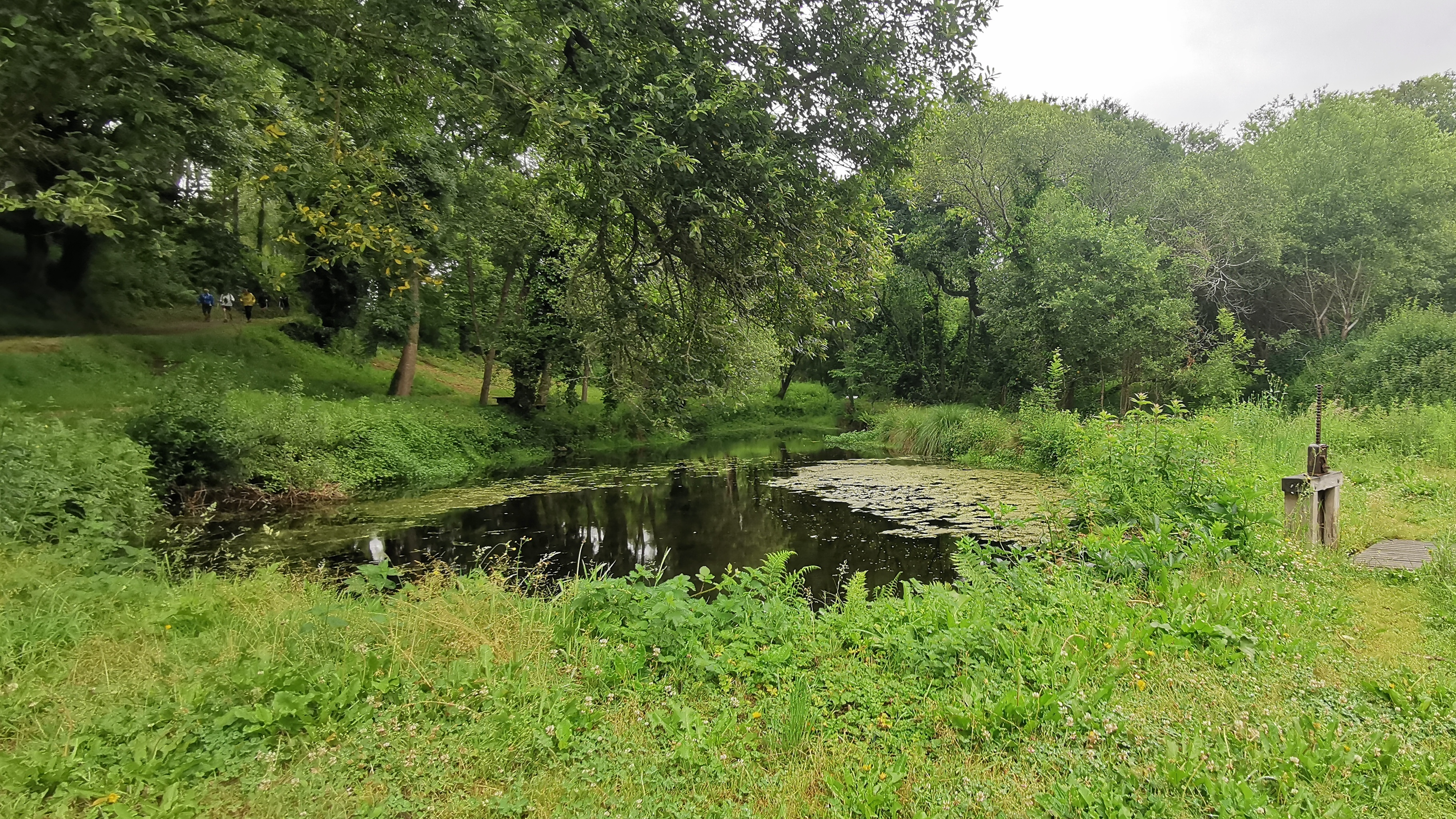 102-IMG_20210620_105632