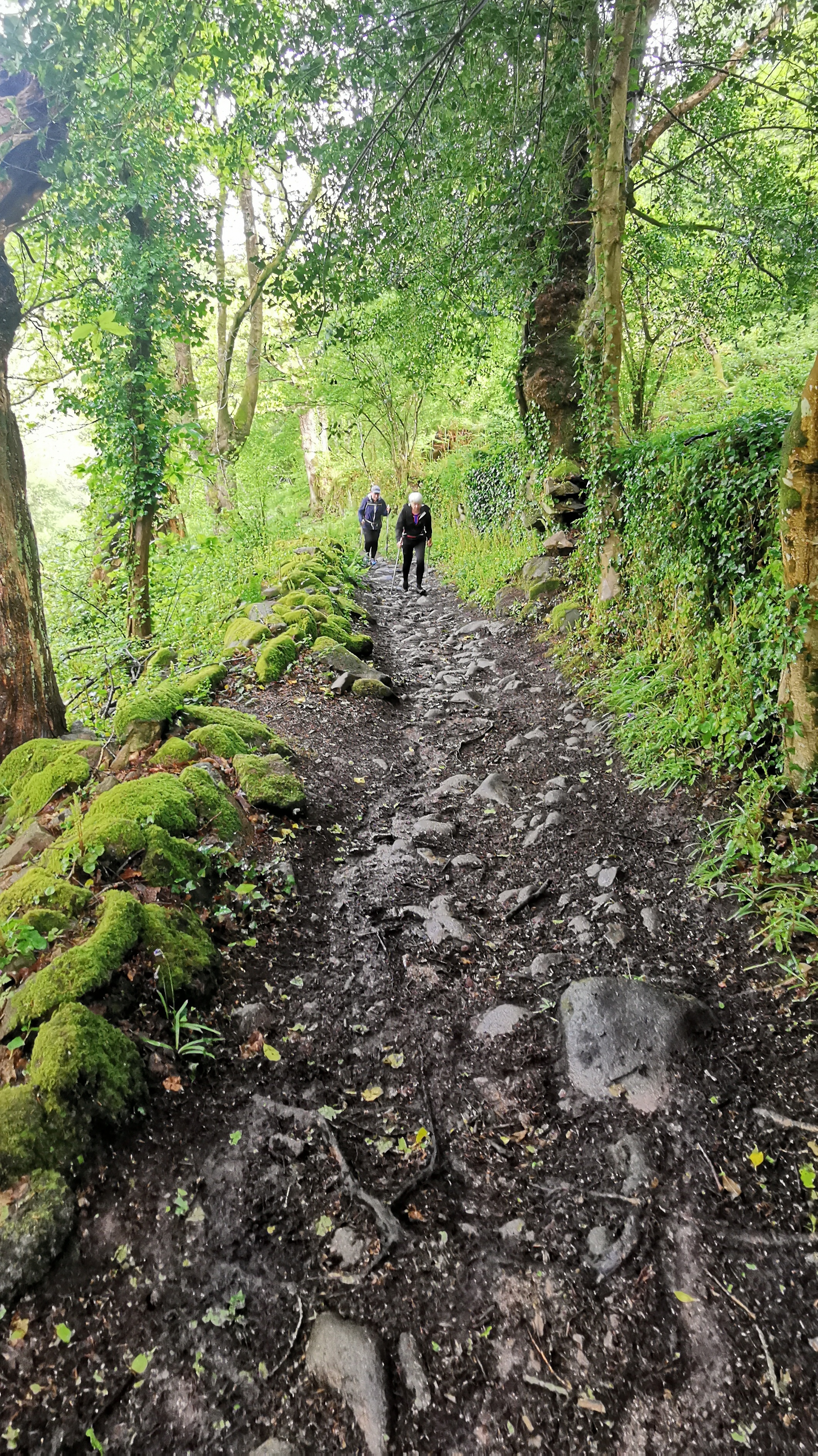 060-IMG_20210513_103350