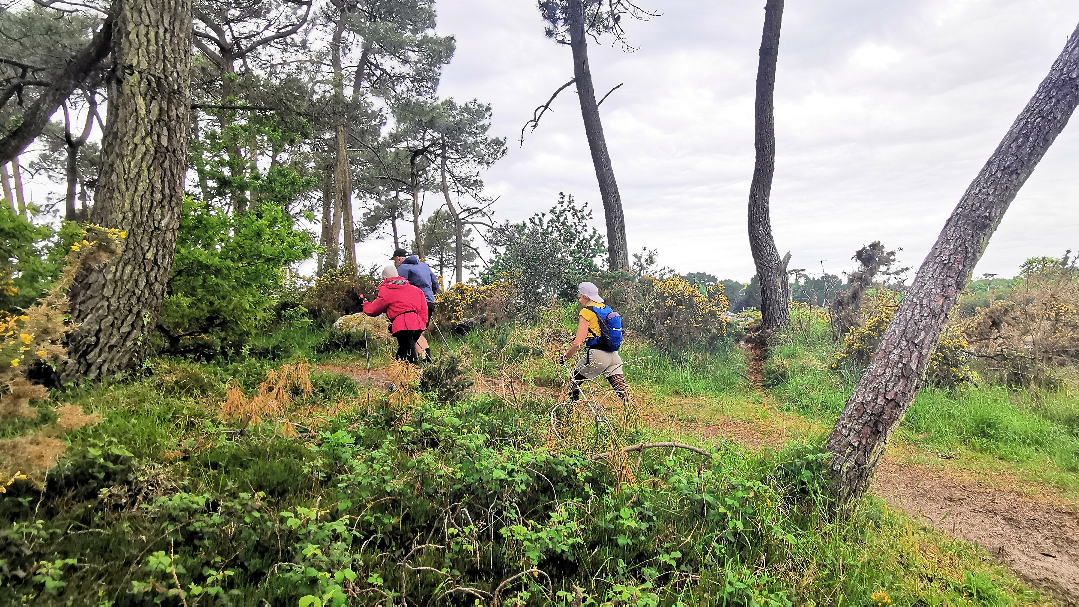 59-IMG_20210520_103711_1