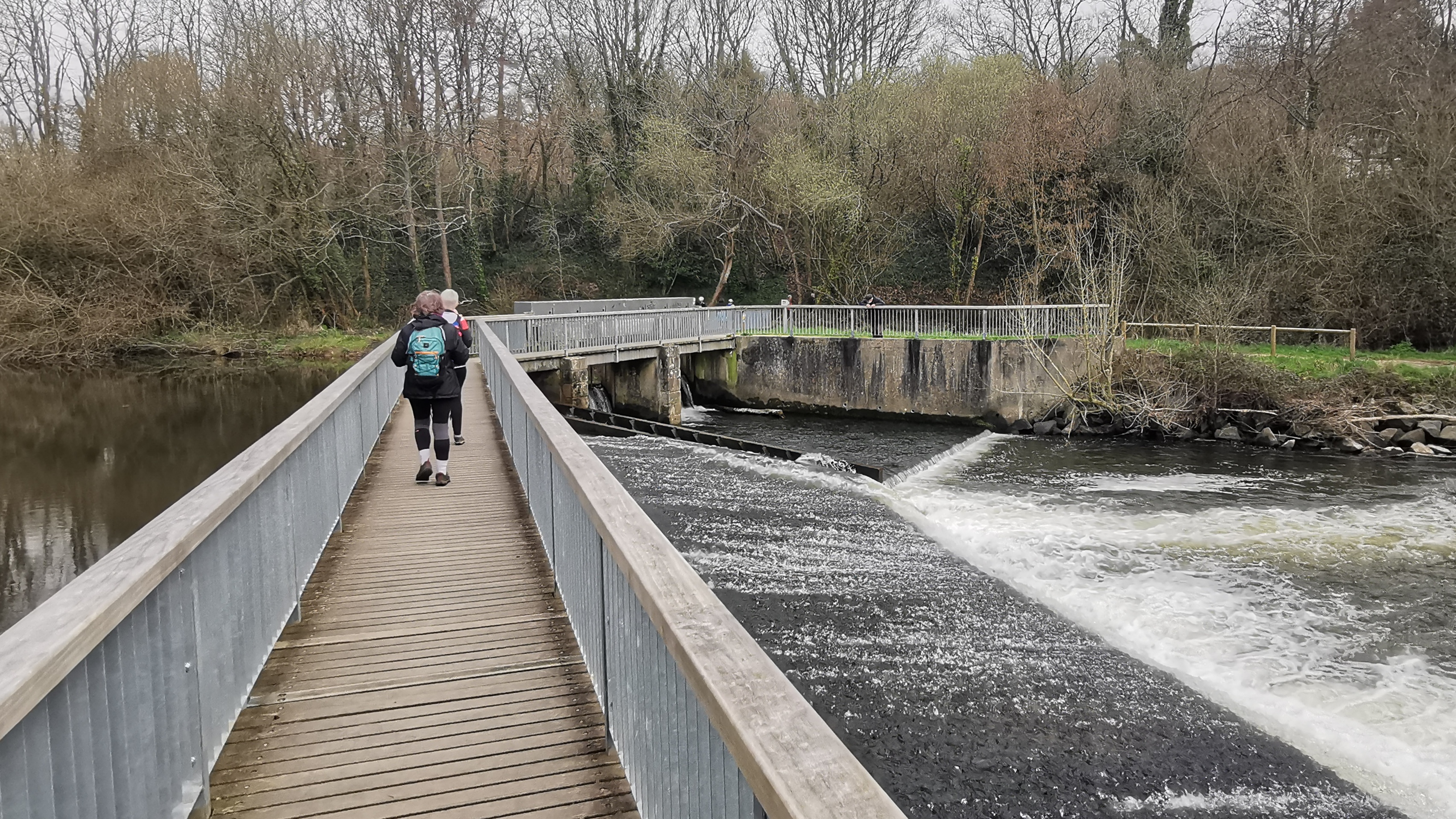 47-IMG_20210316_110606_1