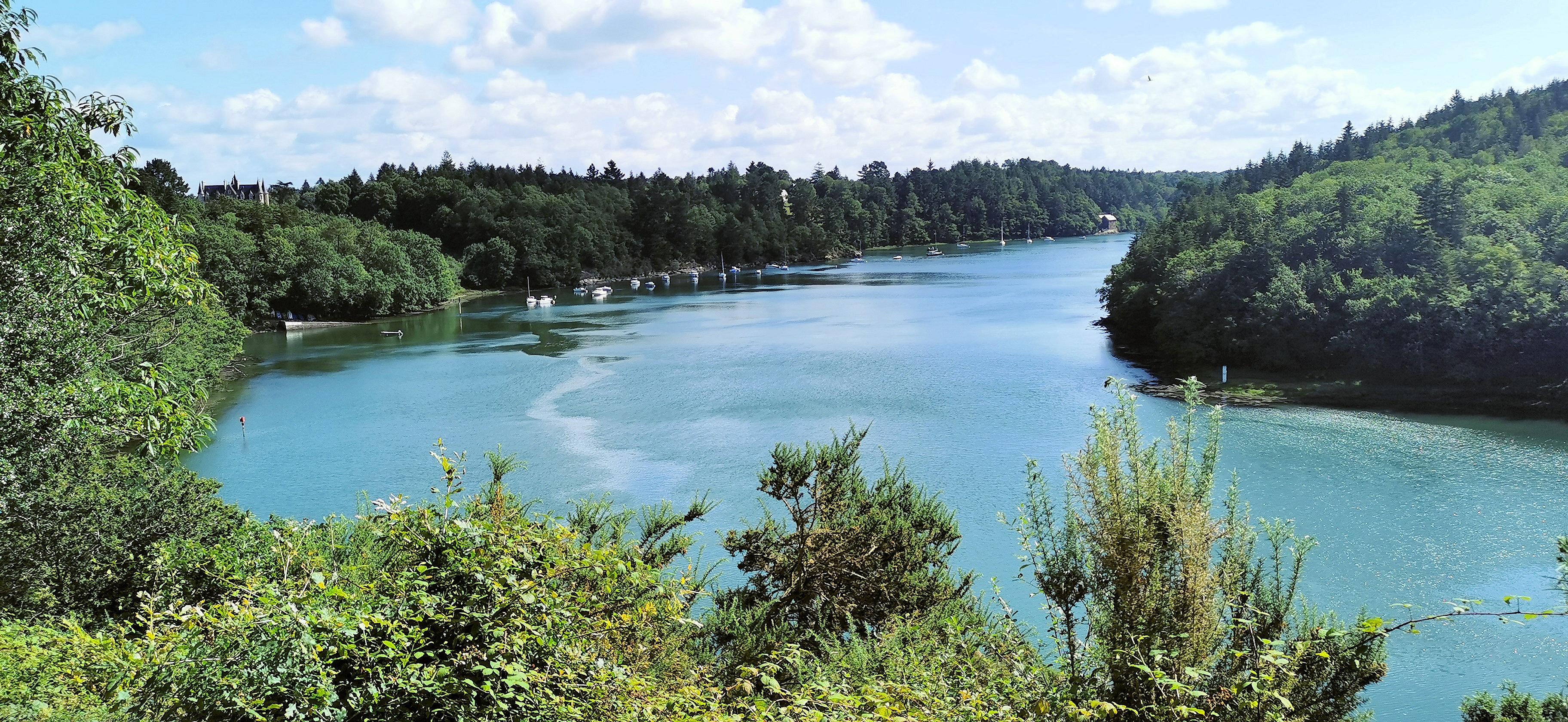 042-IMG_20210816_114213_1