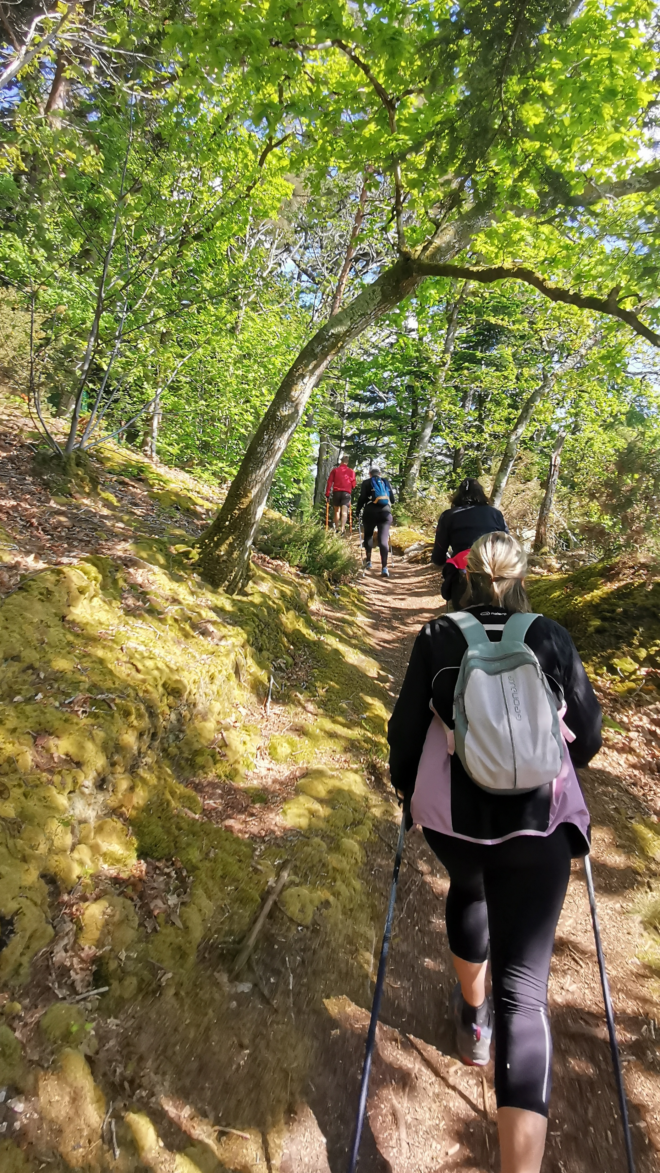 48-IMG_20210501_111740