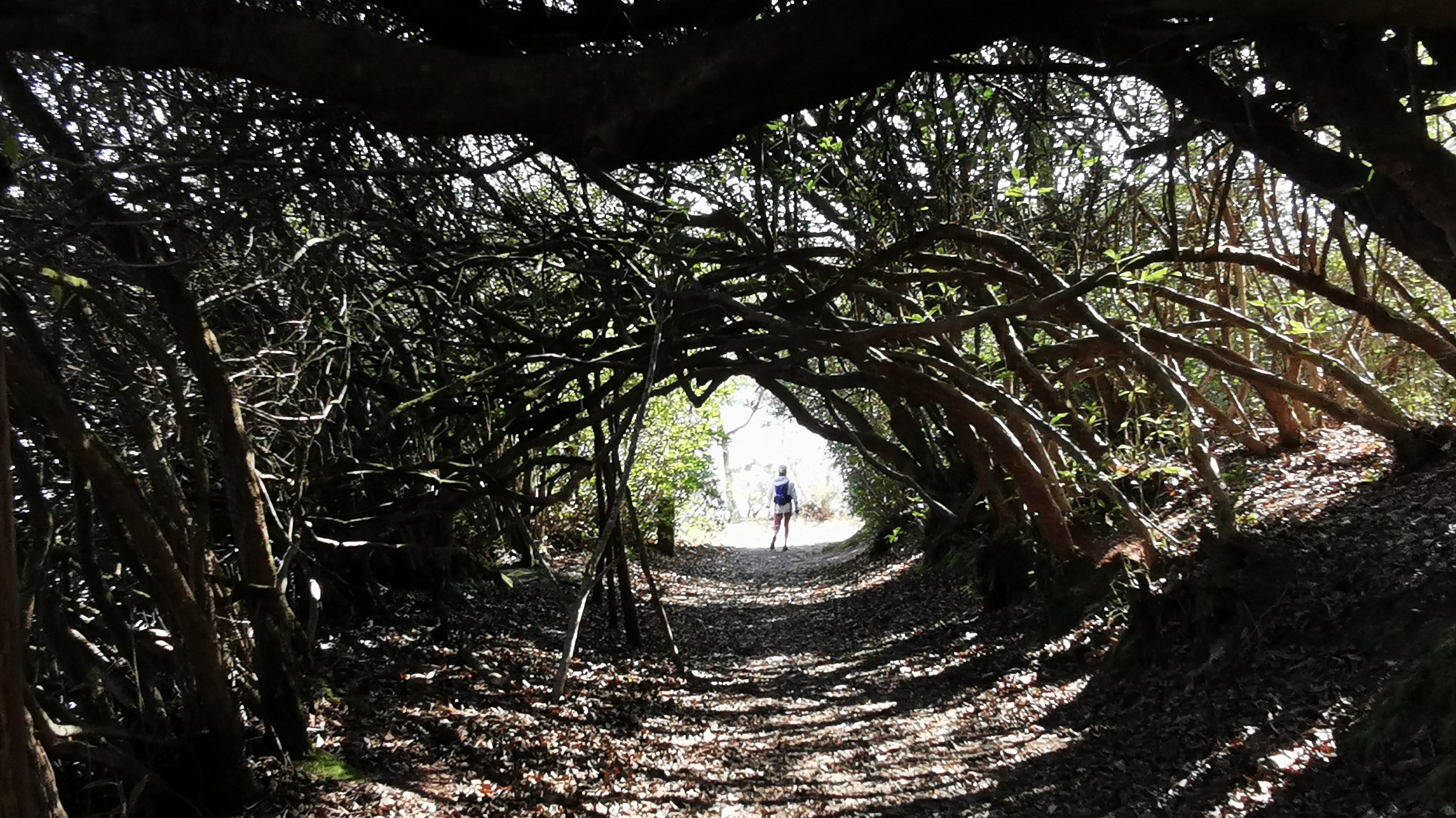 24-IMG_20210320_104704