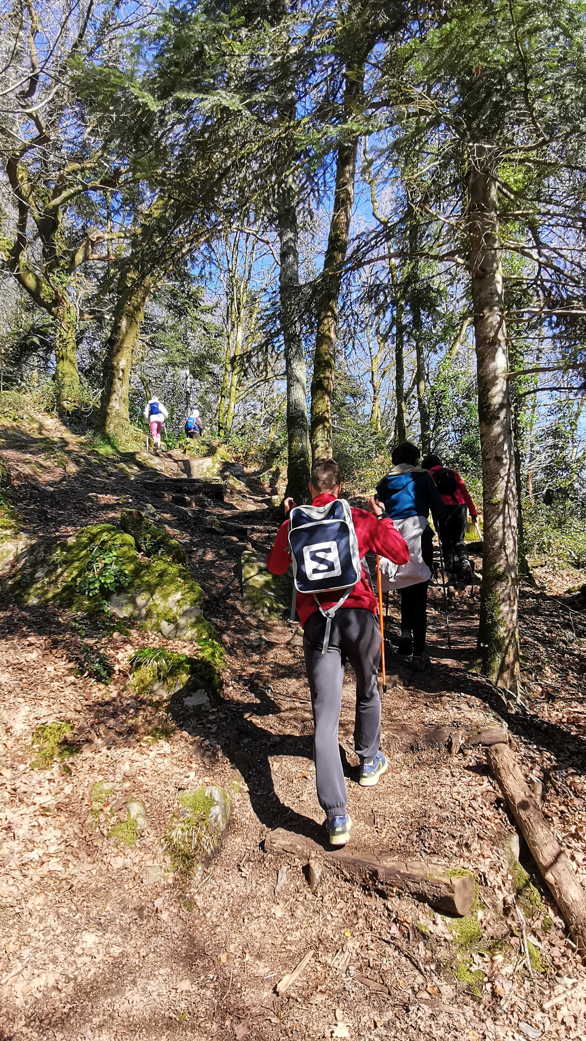 52-IMG_20210320_113255