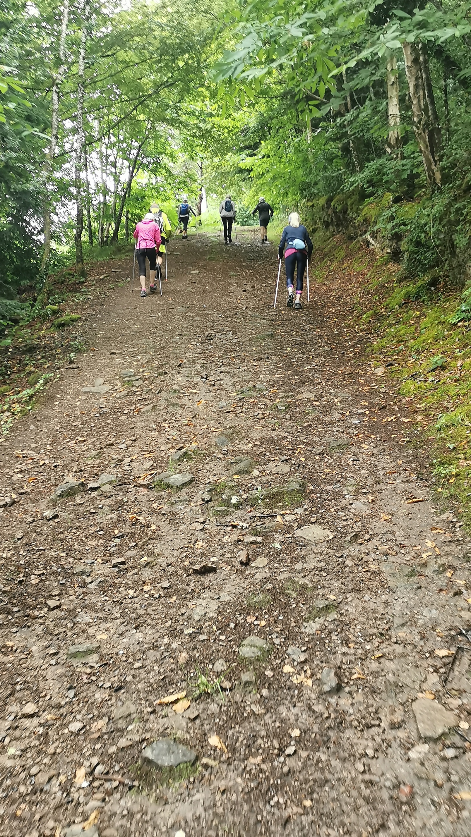 01-IMG_20210617_094139_1