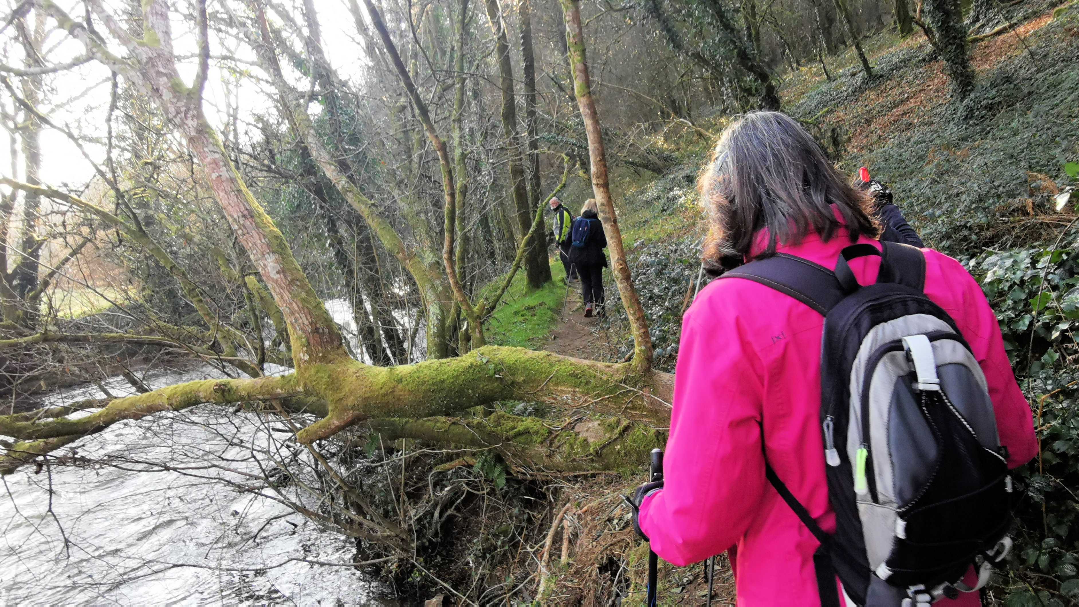 16-IMG_20210307_100302