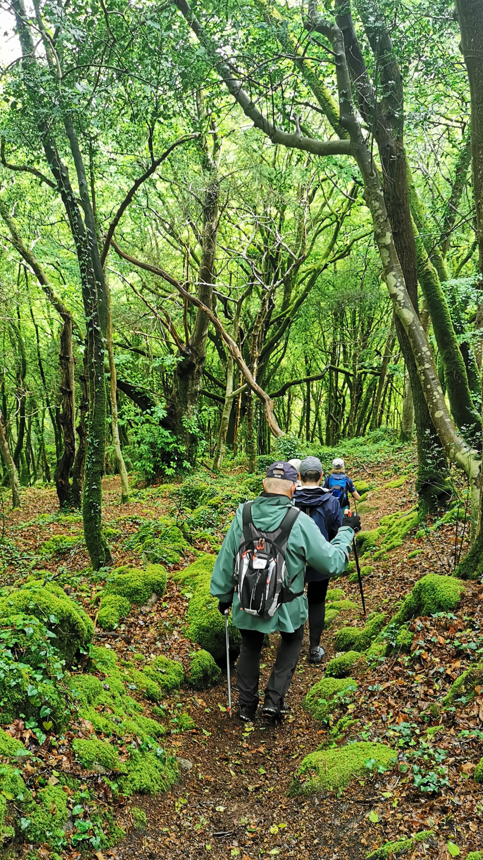 072-IMG_20210513_105056_1