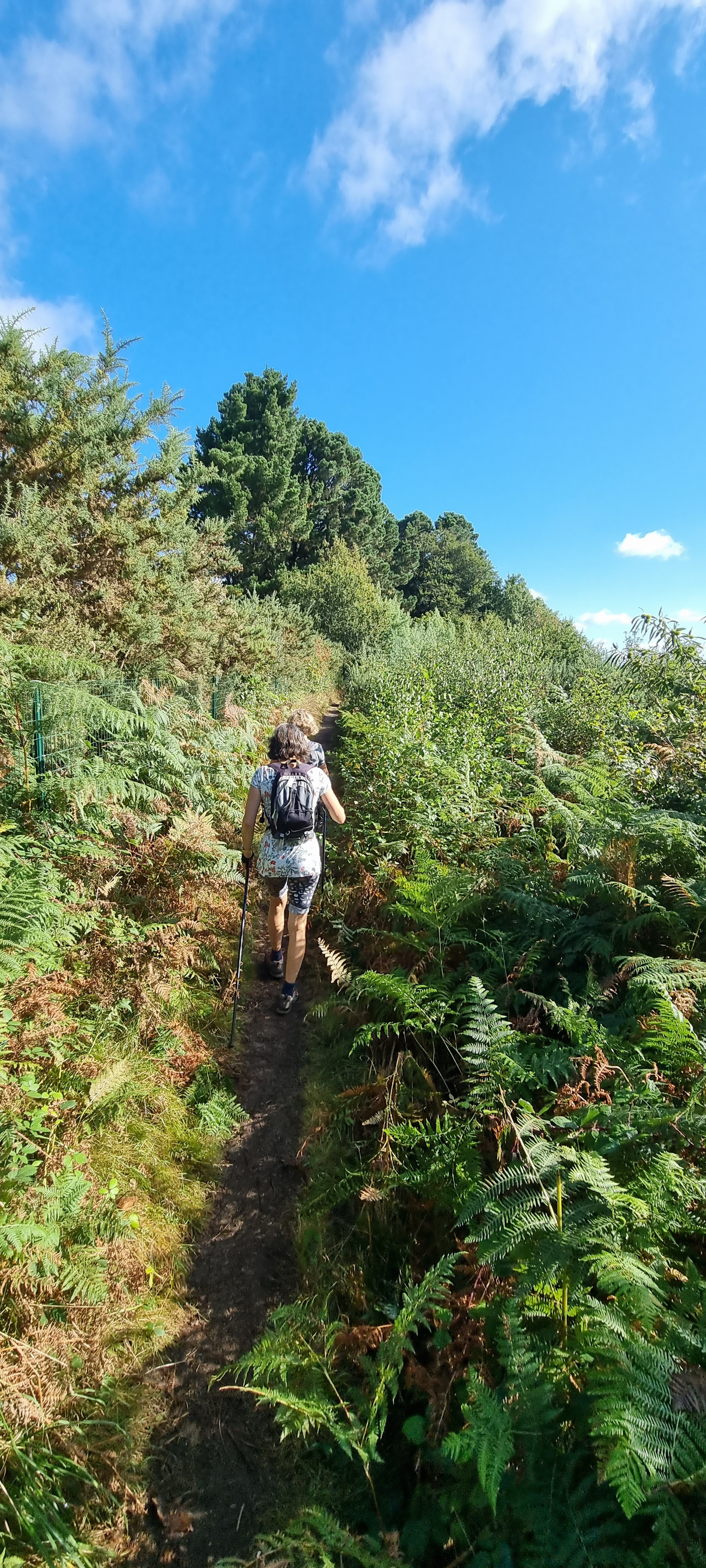 54-20210916_111622(0)