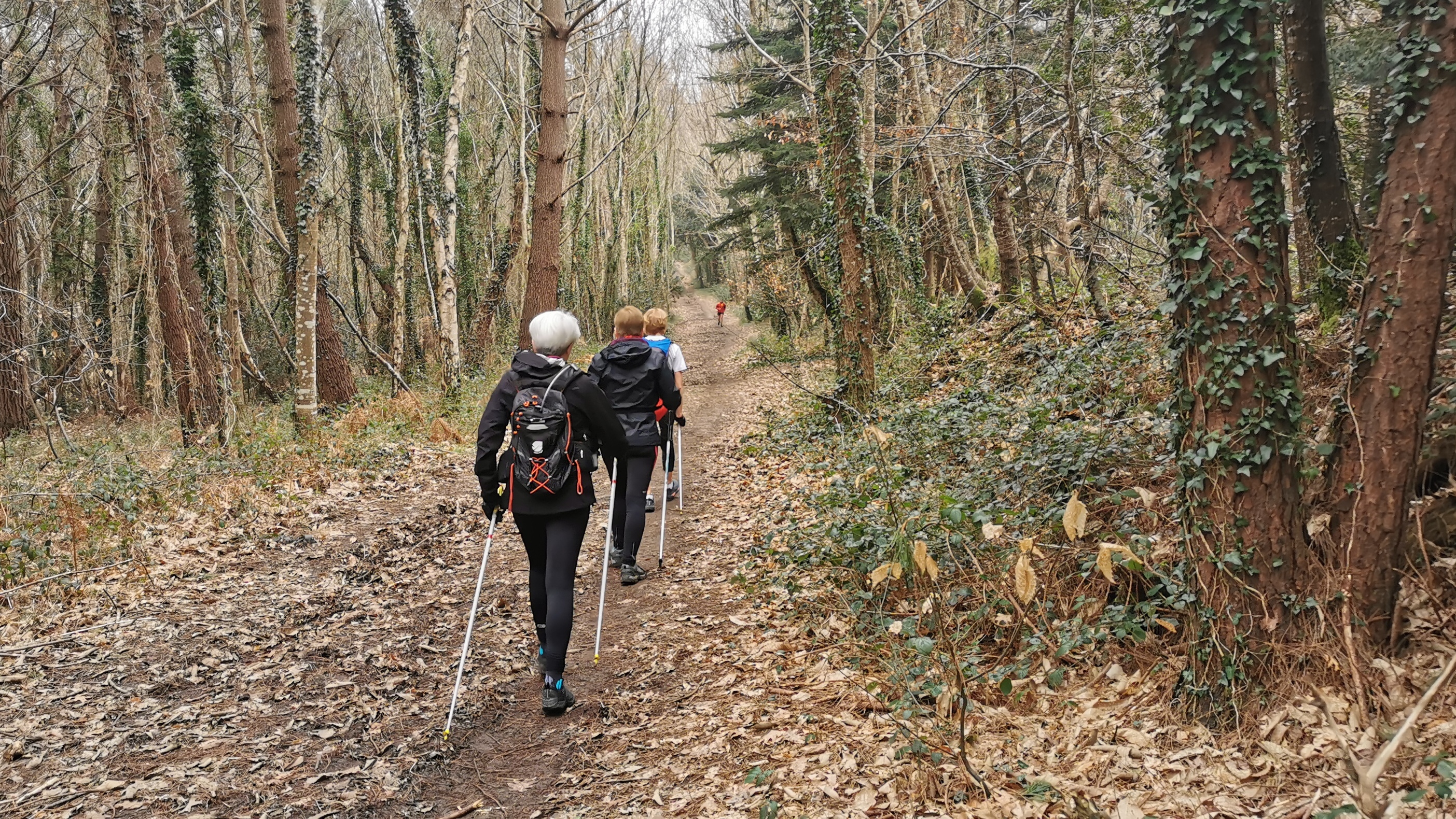 40-IMG_20210304_110336_1