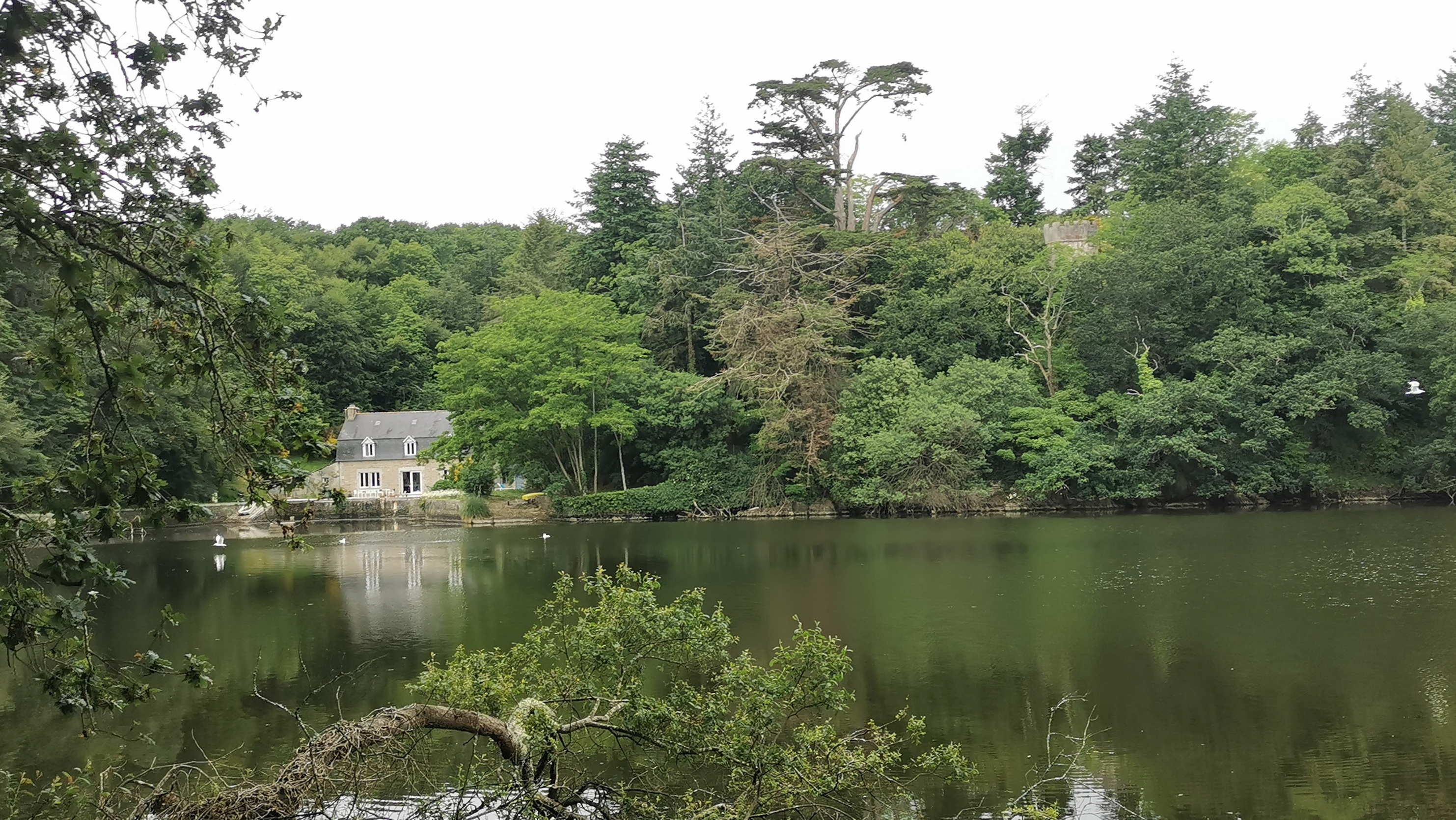 051-IMG_20210606_103956_1