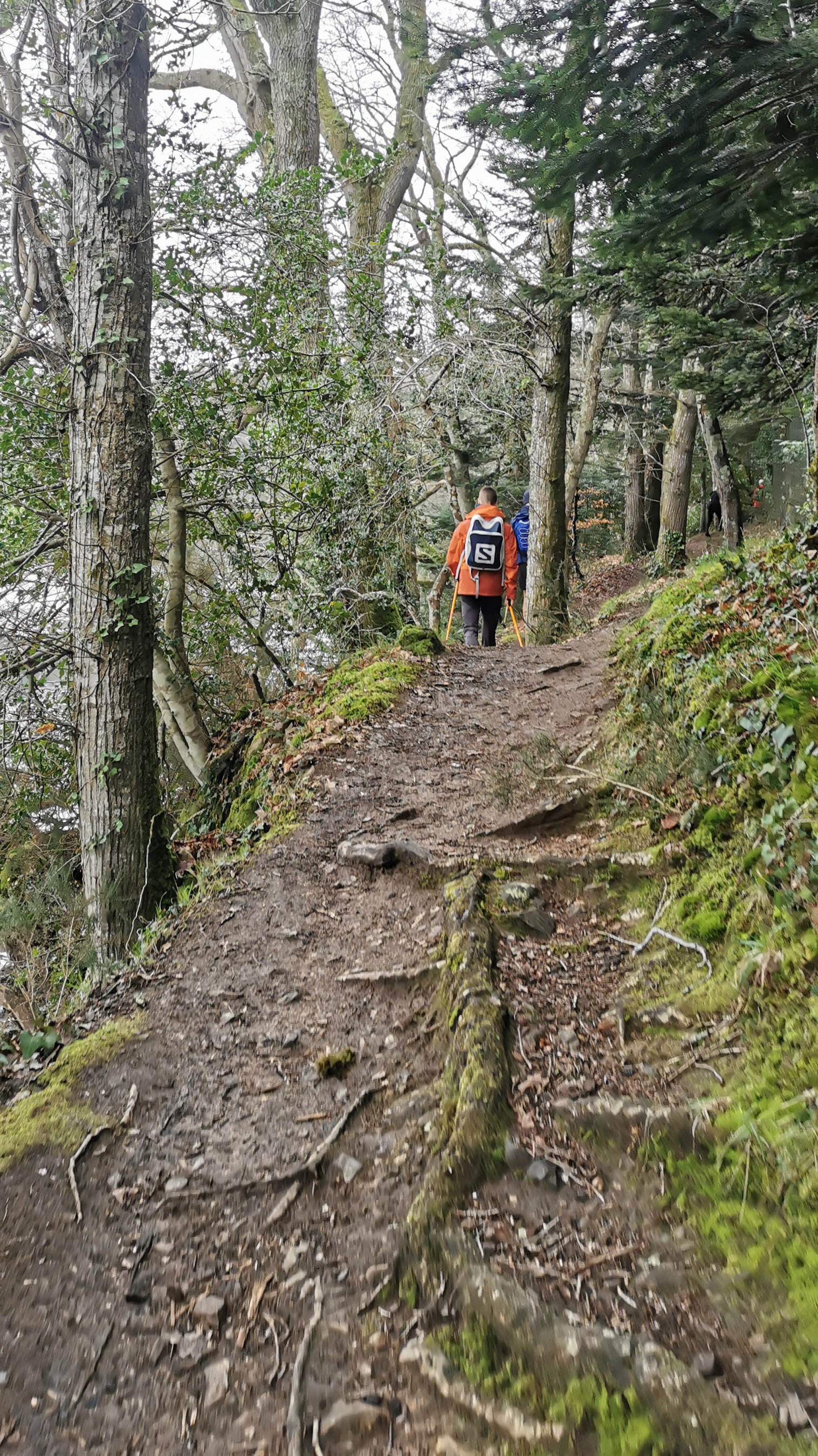 096-IMG_20210220_115115