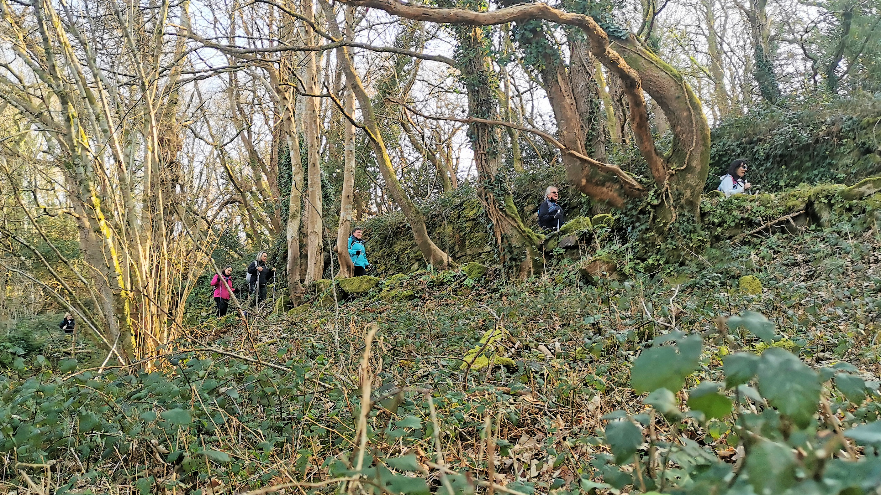 44-IMG_20210307_103706