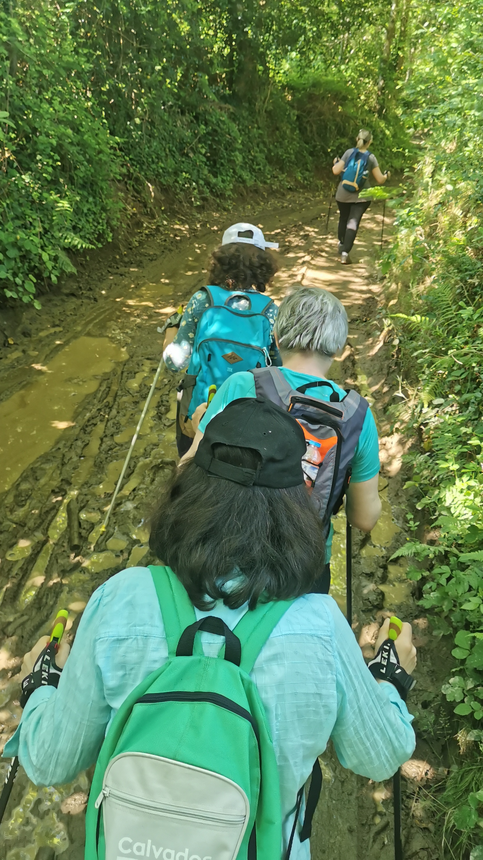 54-IMG_20210531_112221_1