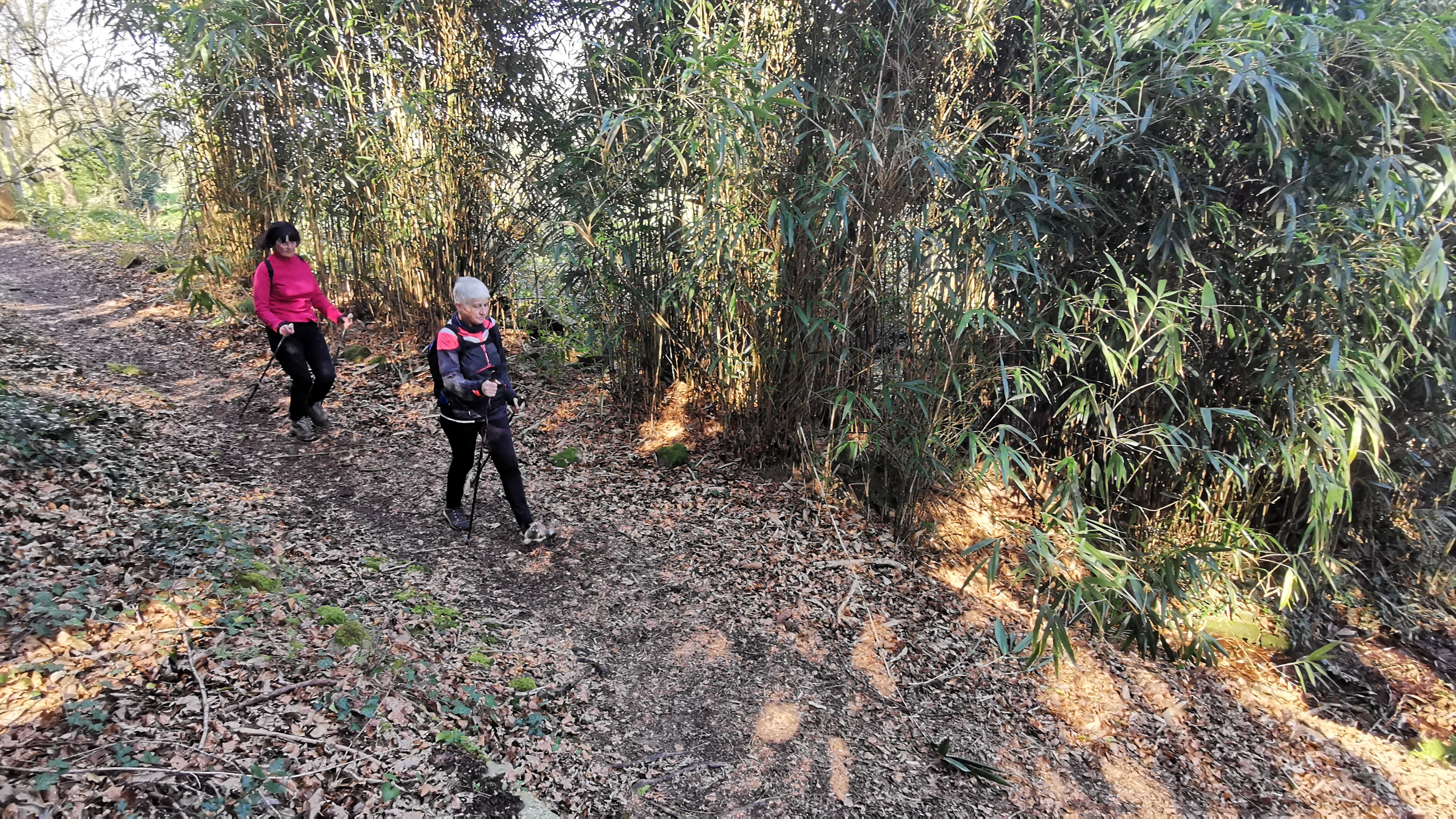 37-IMG_20210320_112601_1