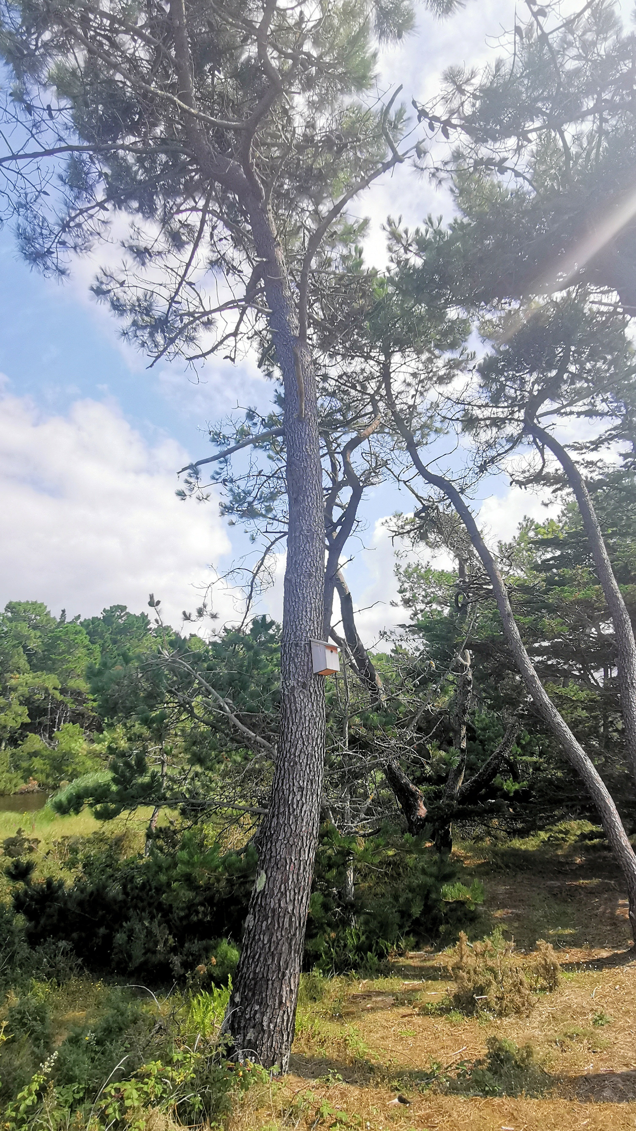 42-IMG_20210726_113925