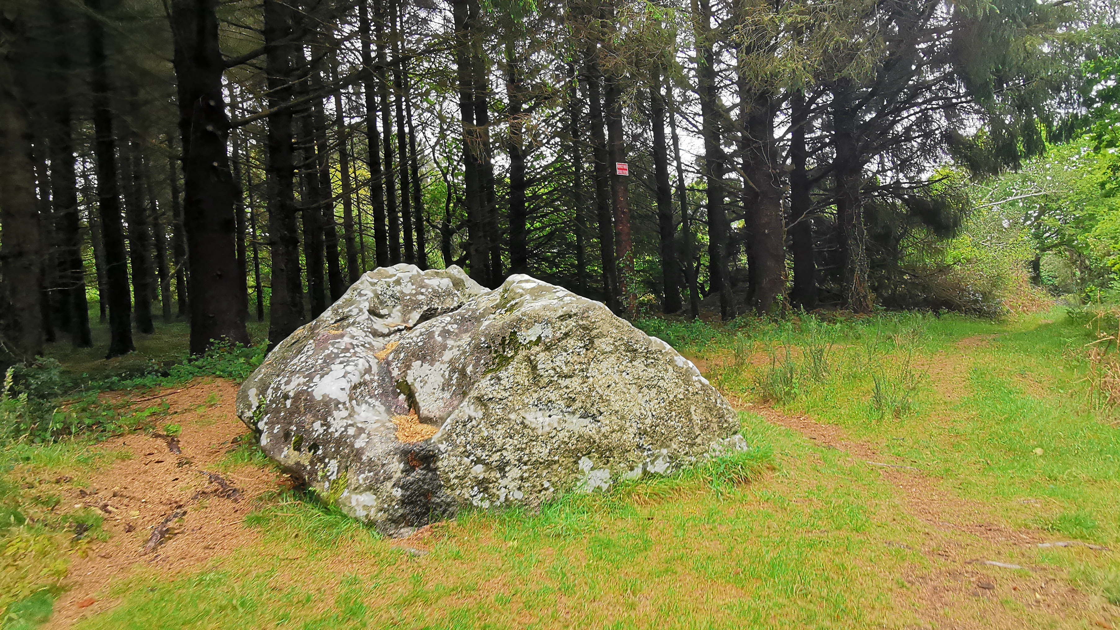 46-IMG_20210508_110430_1