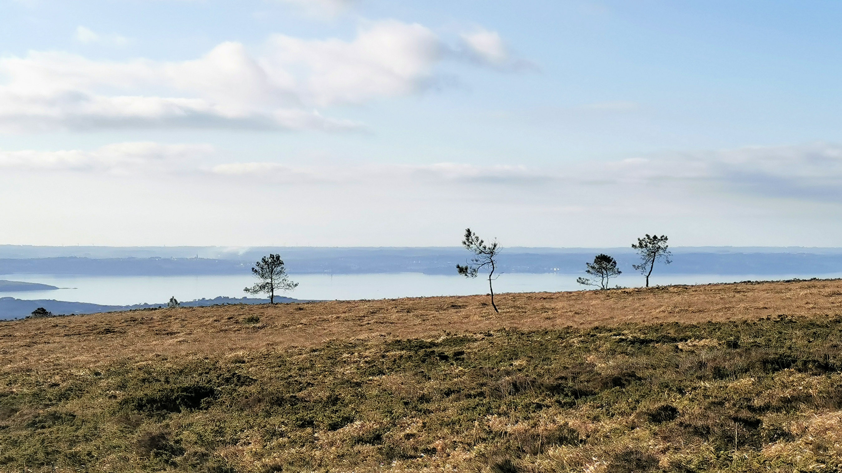 136-IMG_20210110_112831