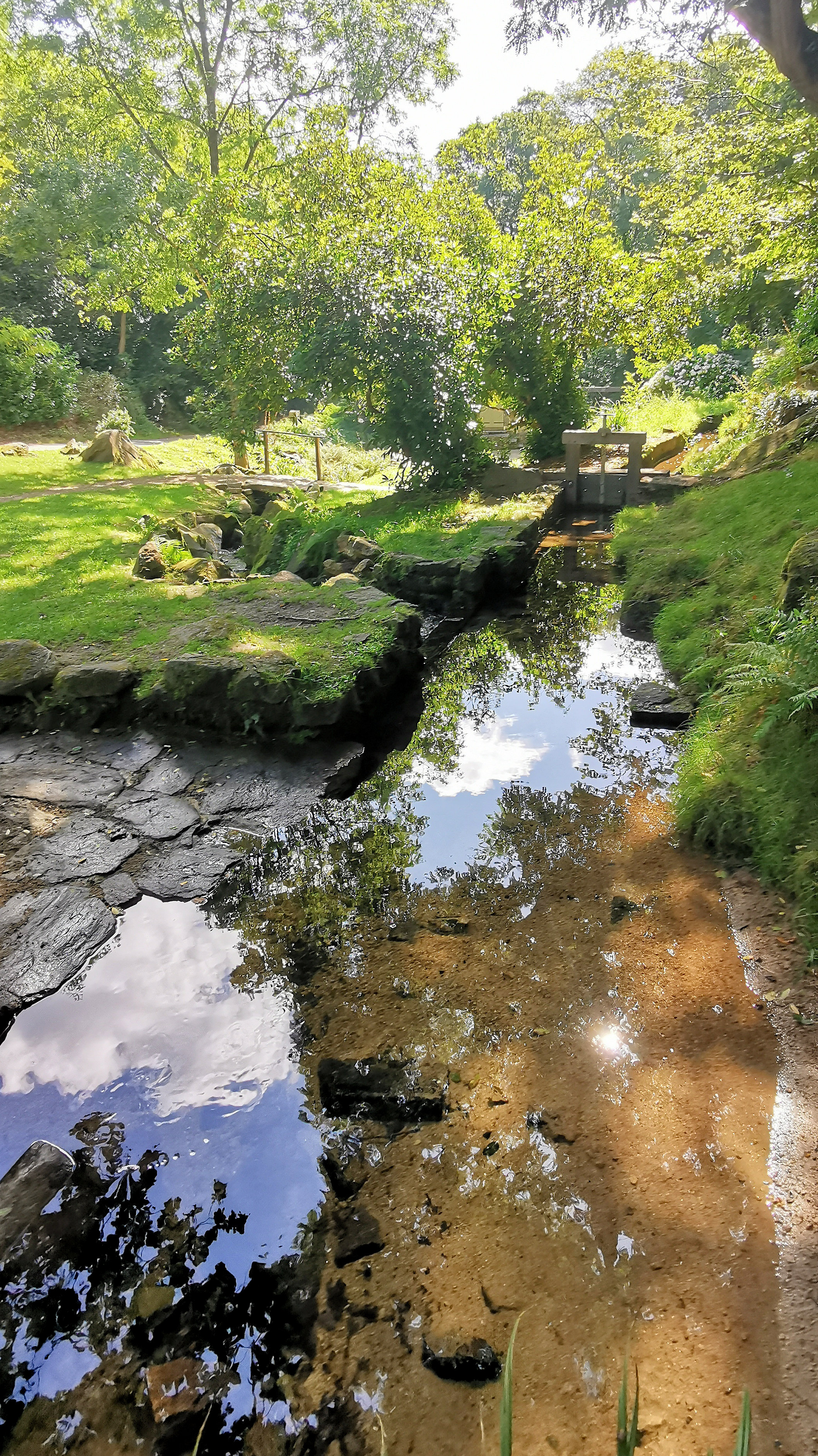 044-IMG_20210816_114921