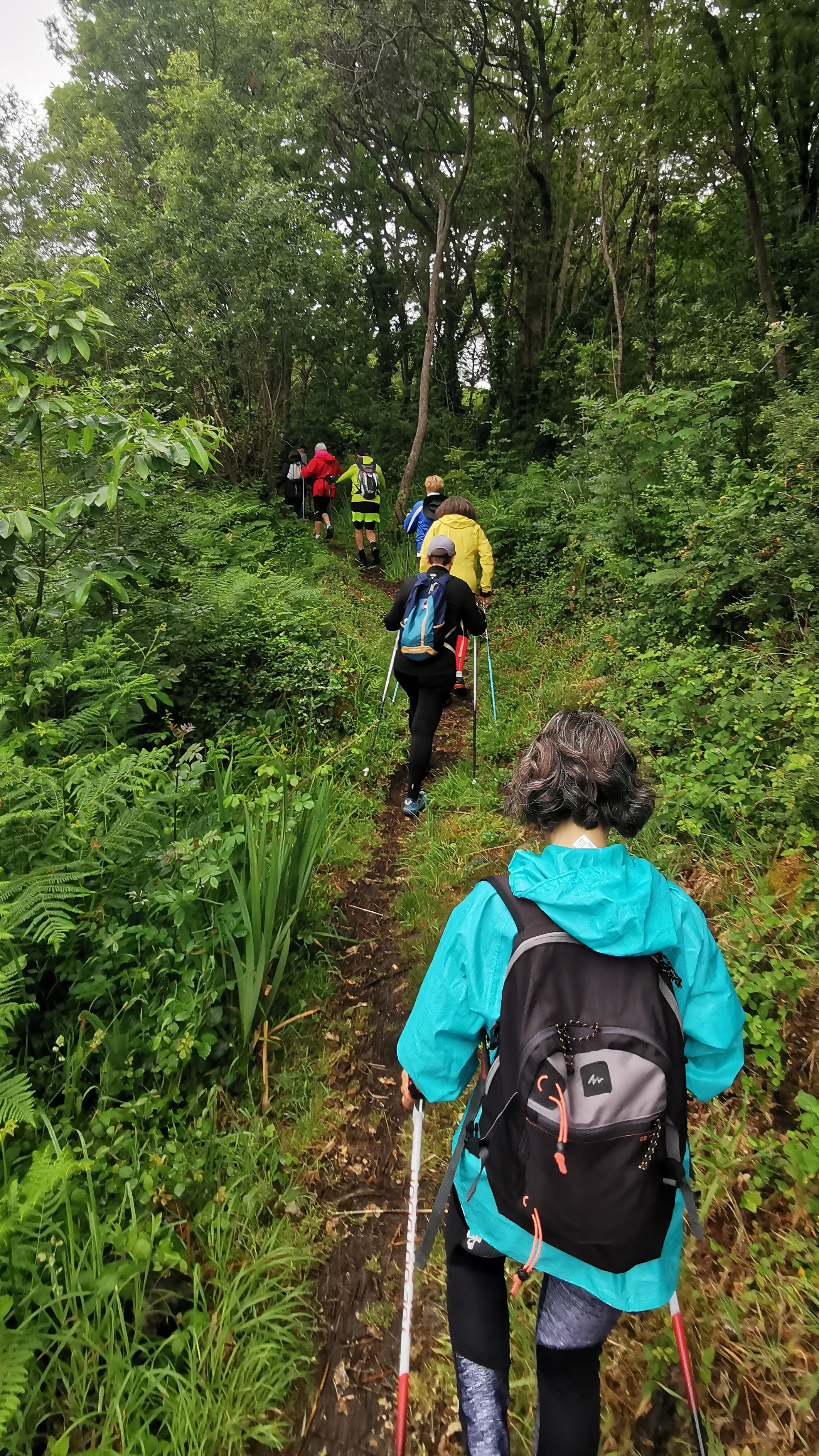 116-IMG_20210620_110426