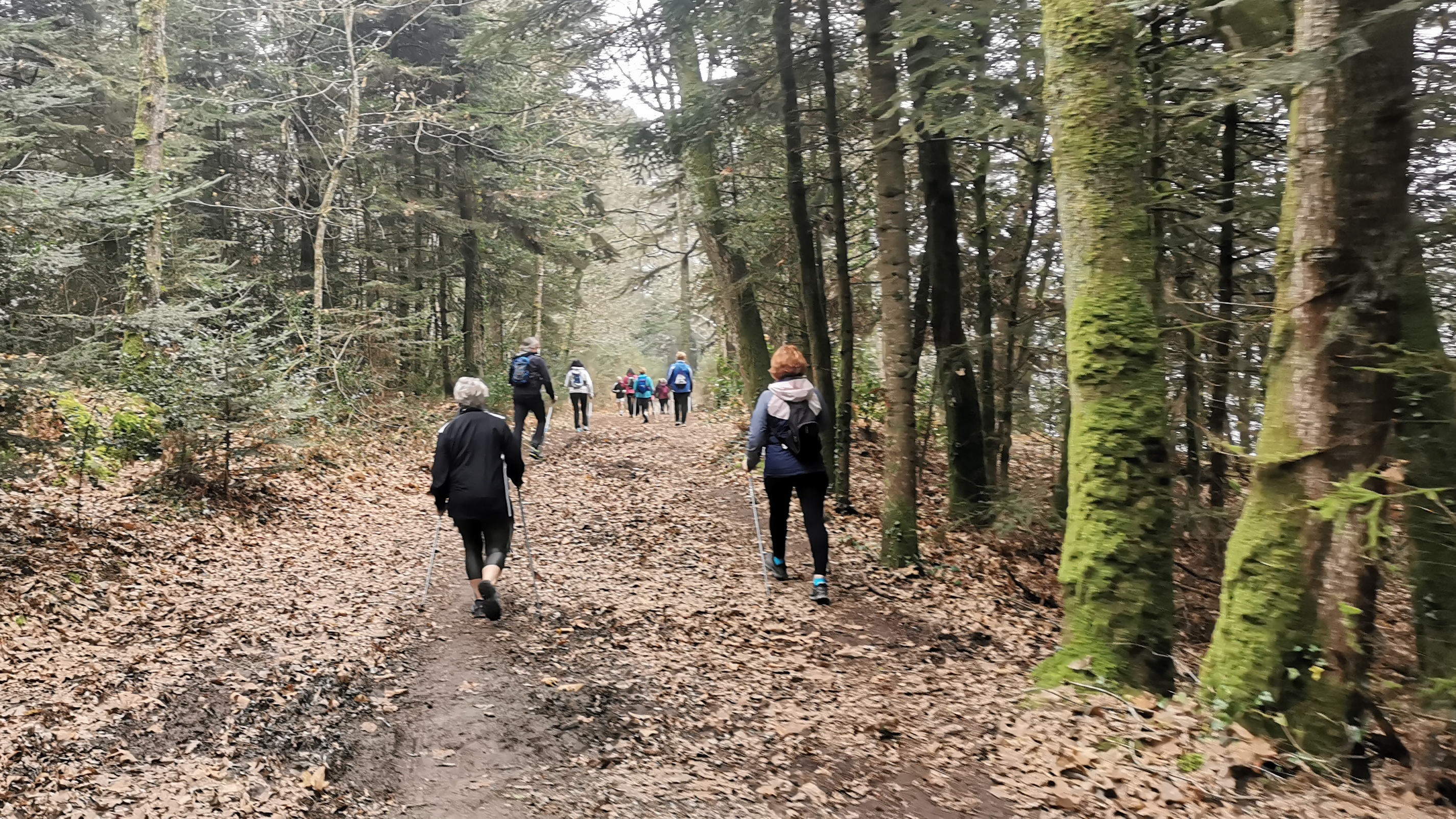 03-IMG_20210304_094913