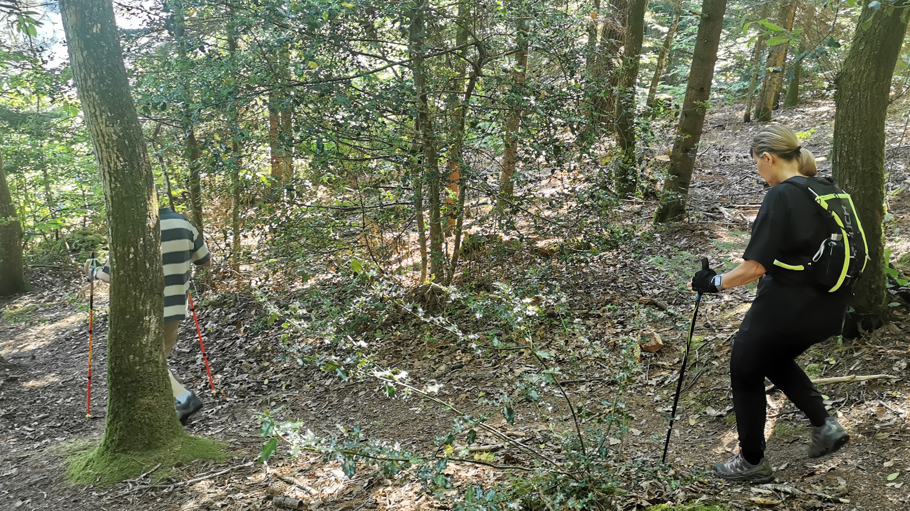 19-IMG_20210614_111901