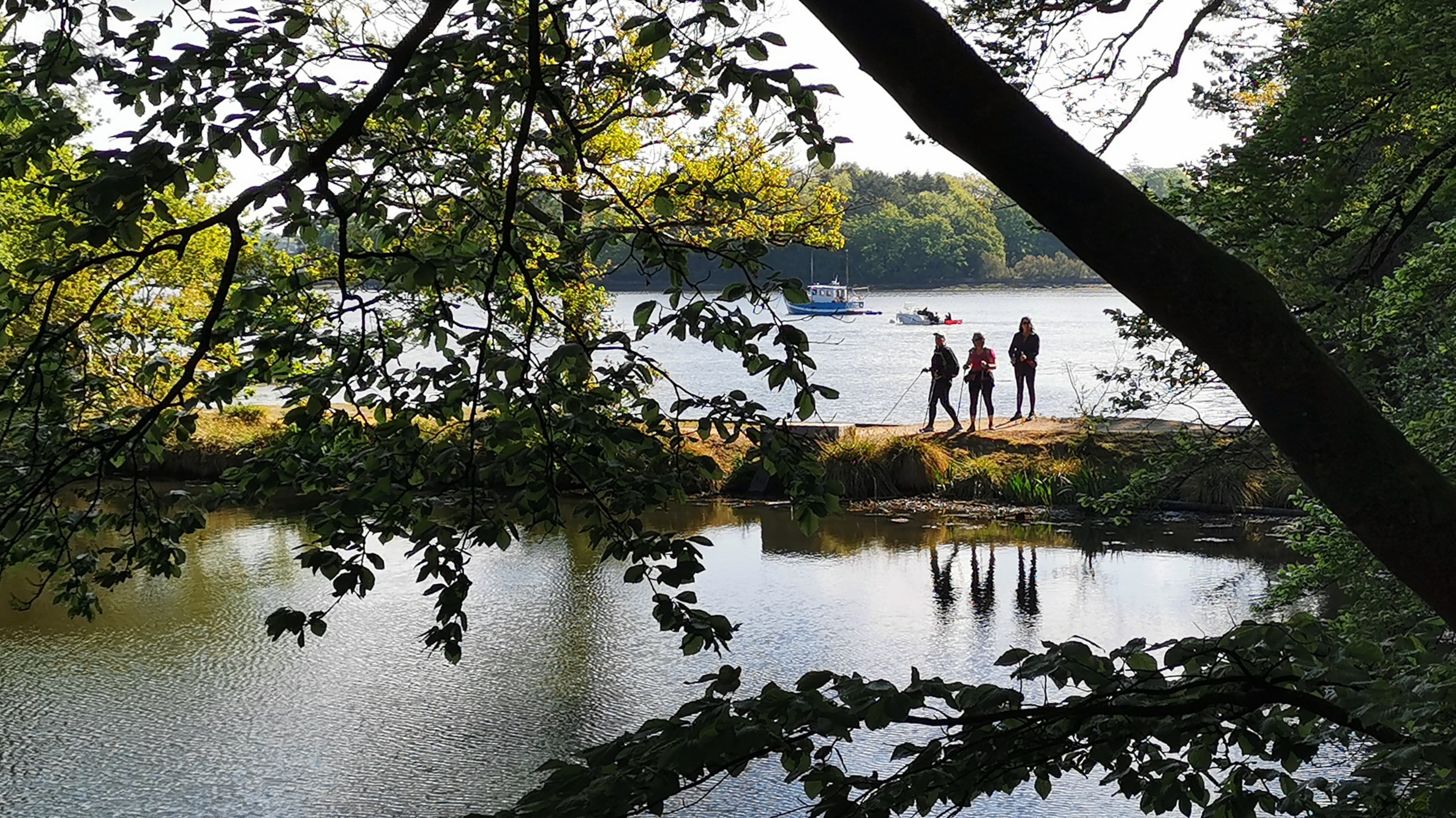 34-IMG_20210501_110032_1