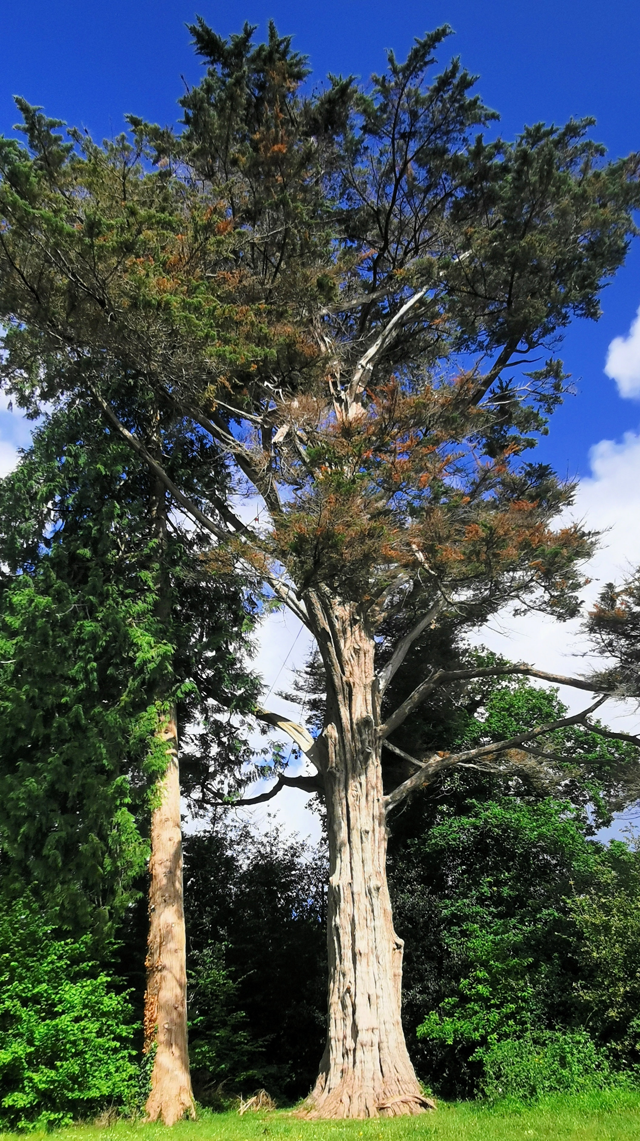 23-IMG_20210522_105234