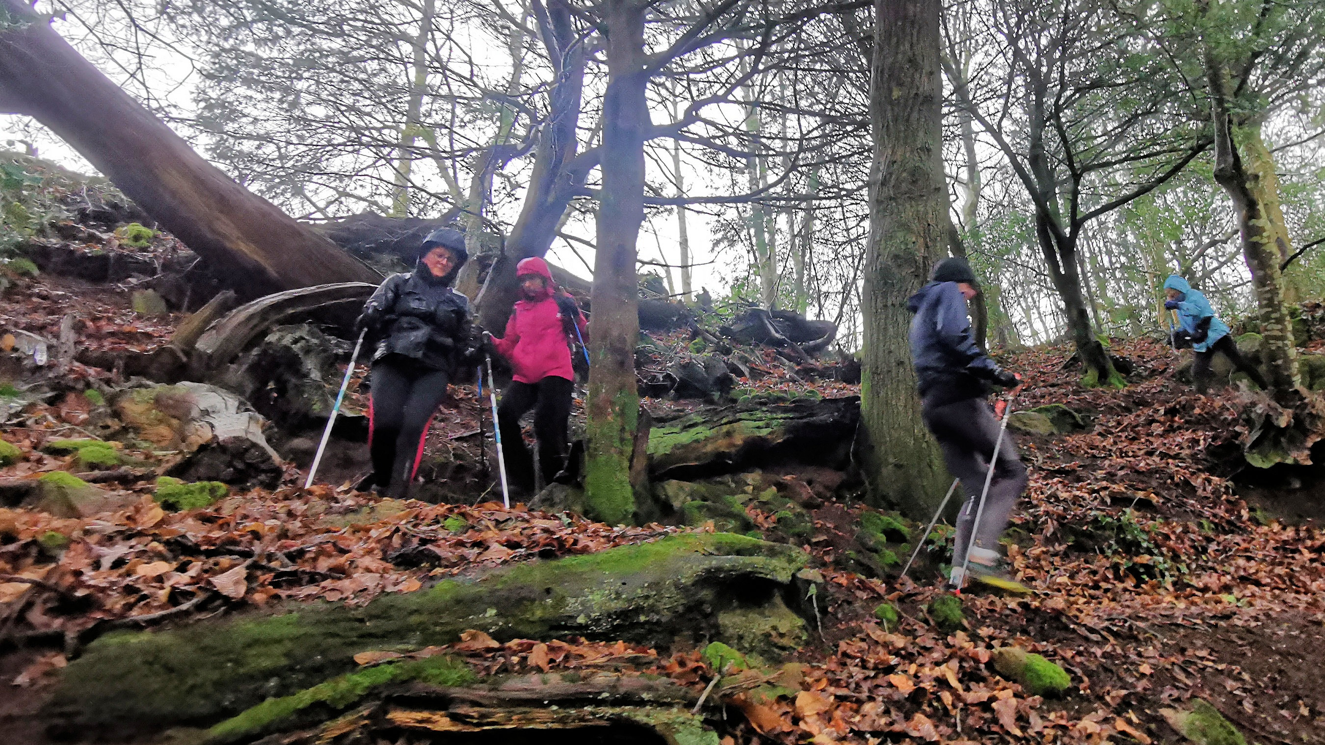 69-IMG_20210121_113622