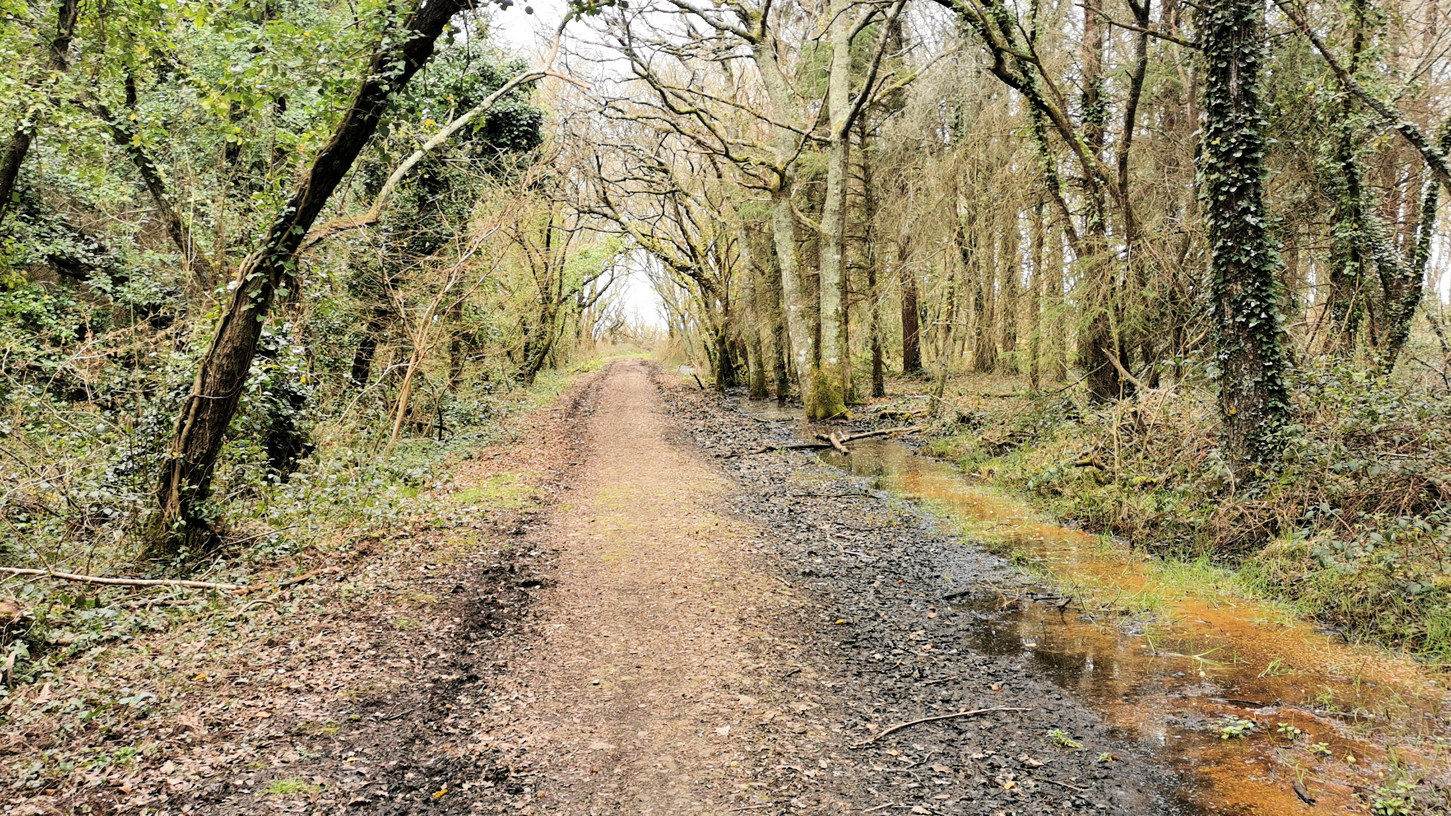 52-IMG_20210321_110013_2