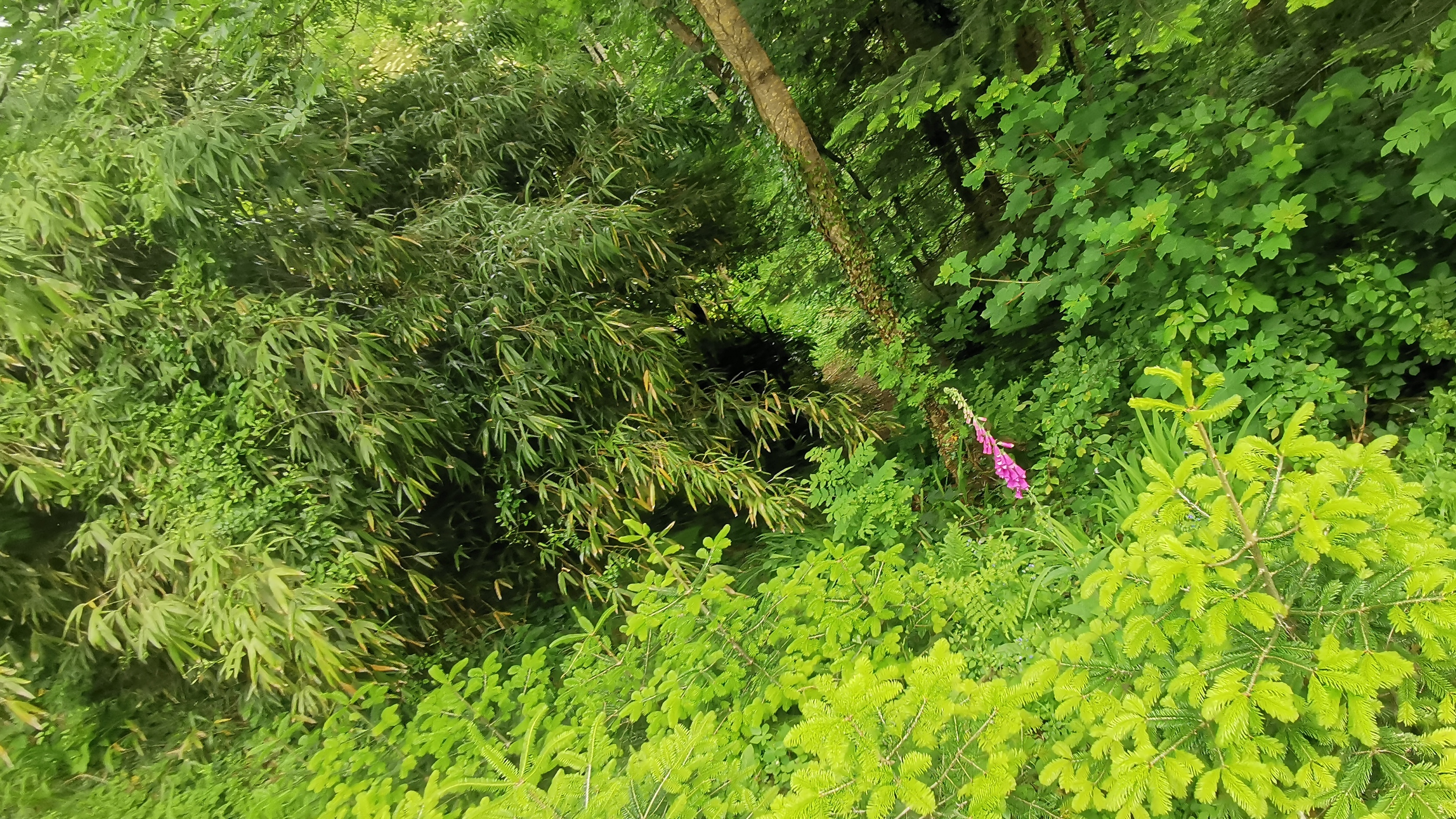 080-IMG_20210606_110512