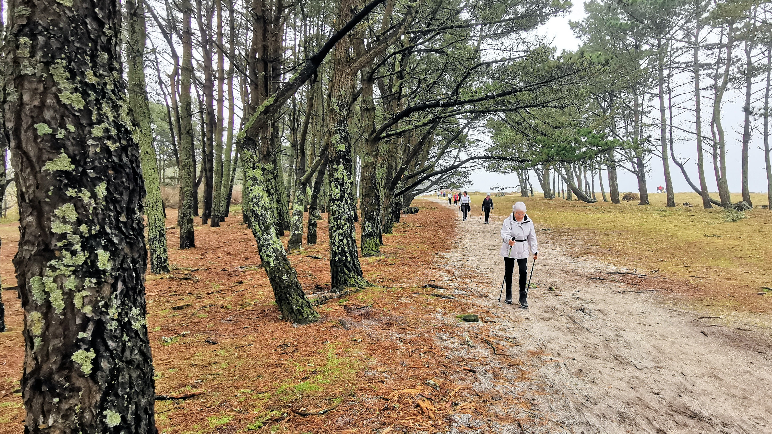 50-IMG_20210221_114137