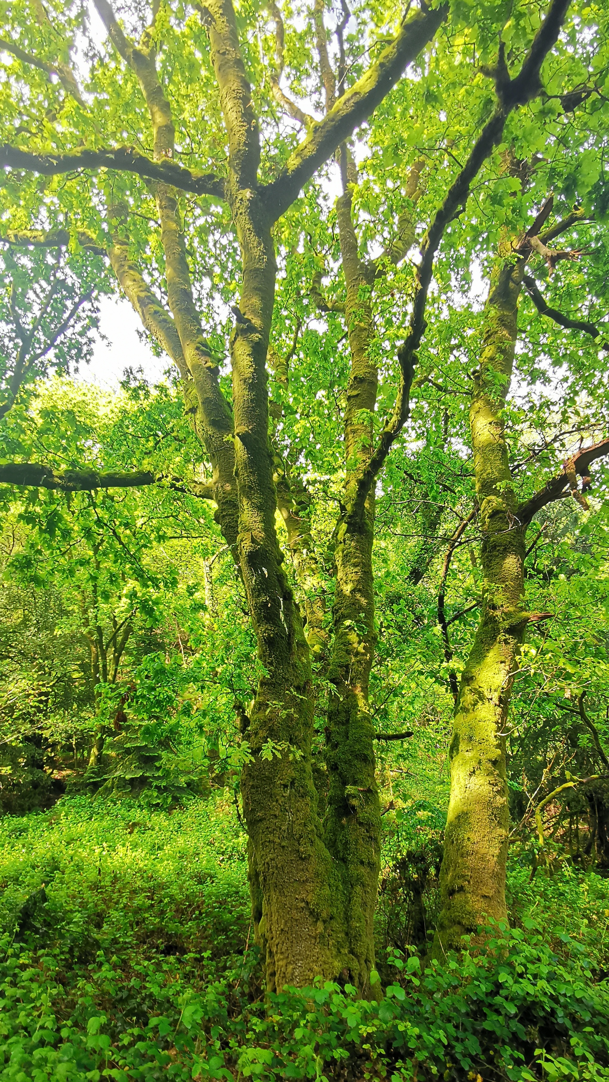 036-IMG_20210513_101809