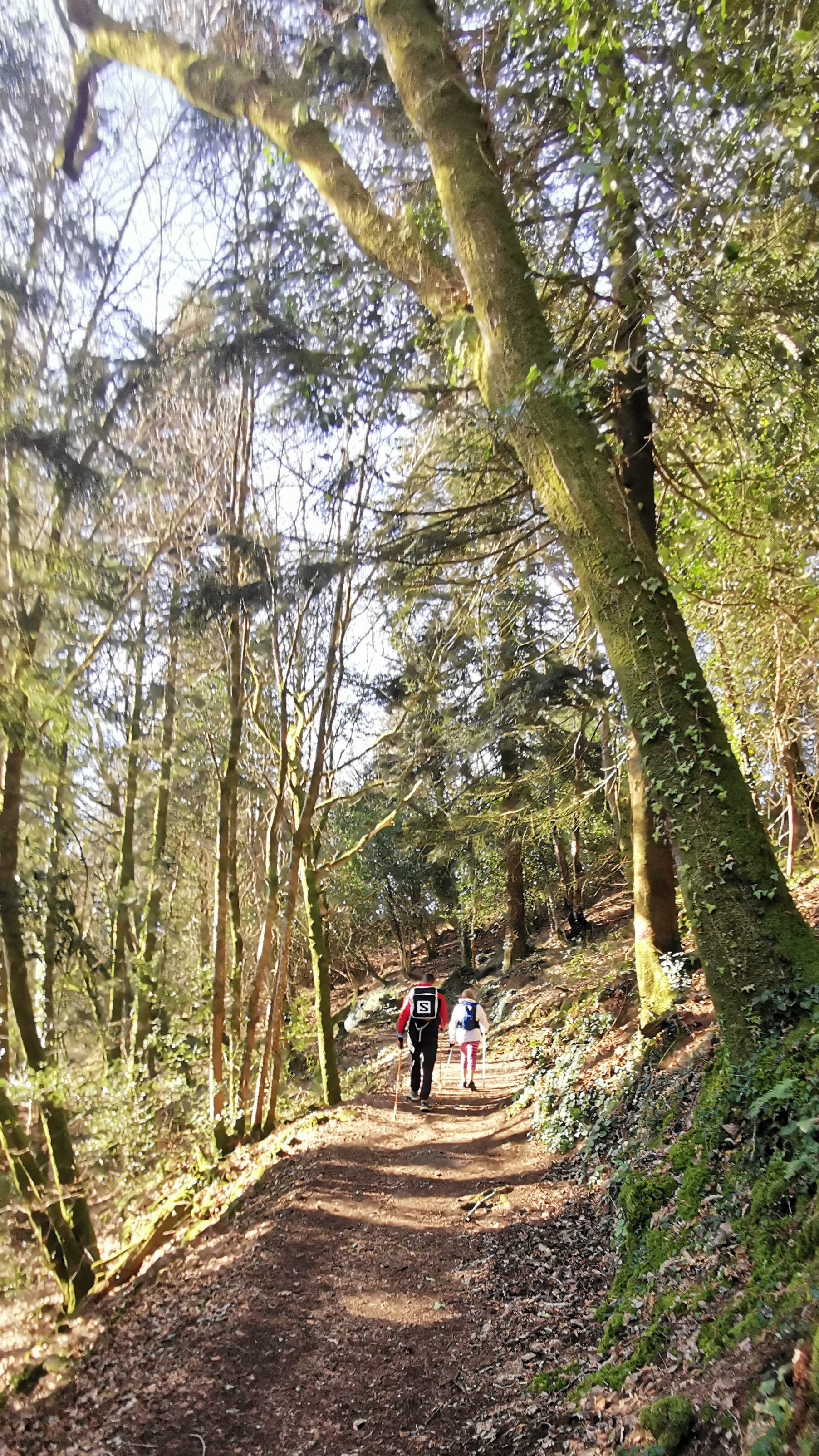 02-IMG_20210320_095200