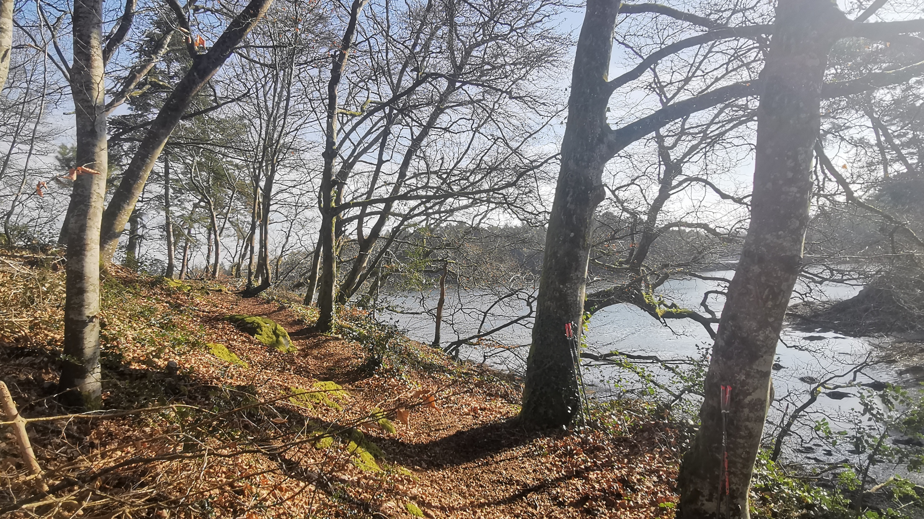 27-IMG_20210318_102302