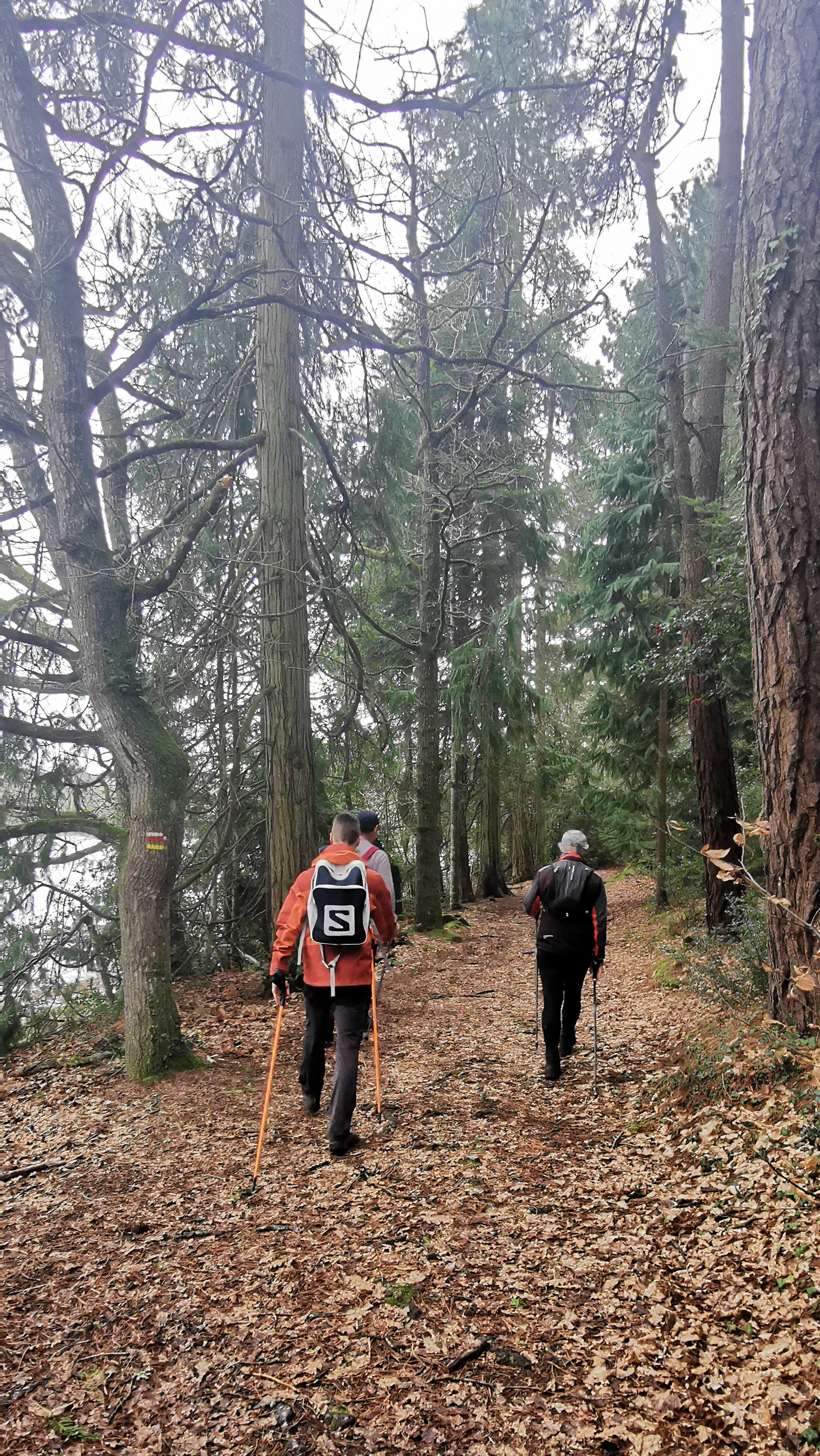 195-IMG_20210220_135315