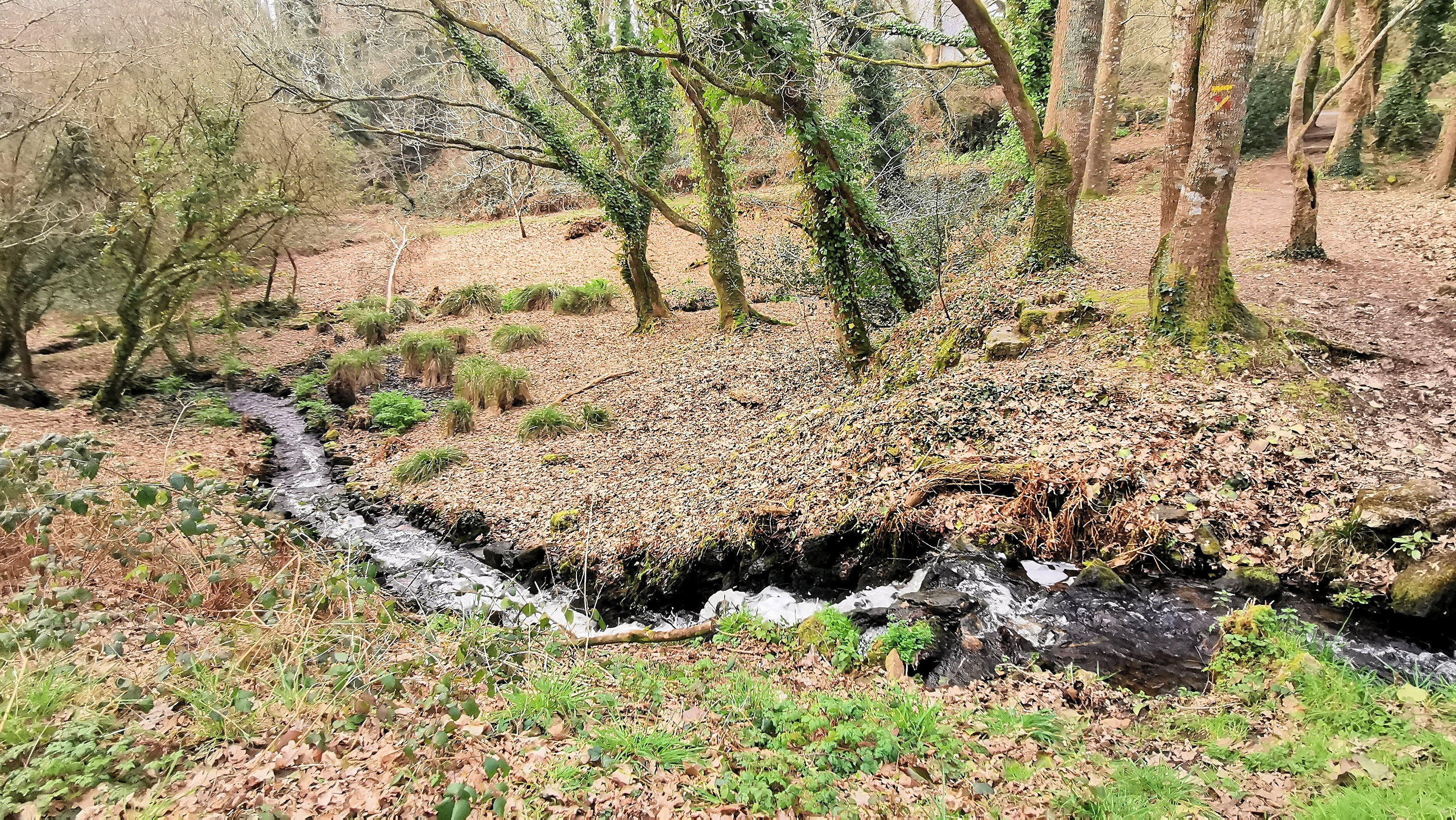 72-IMG_20210302_114038