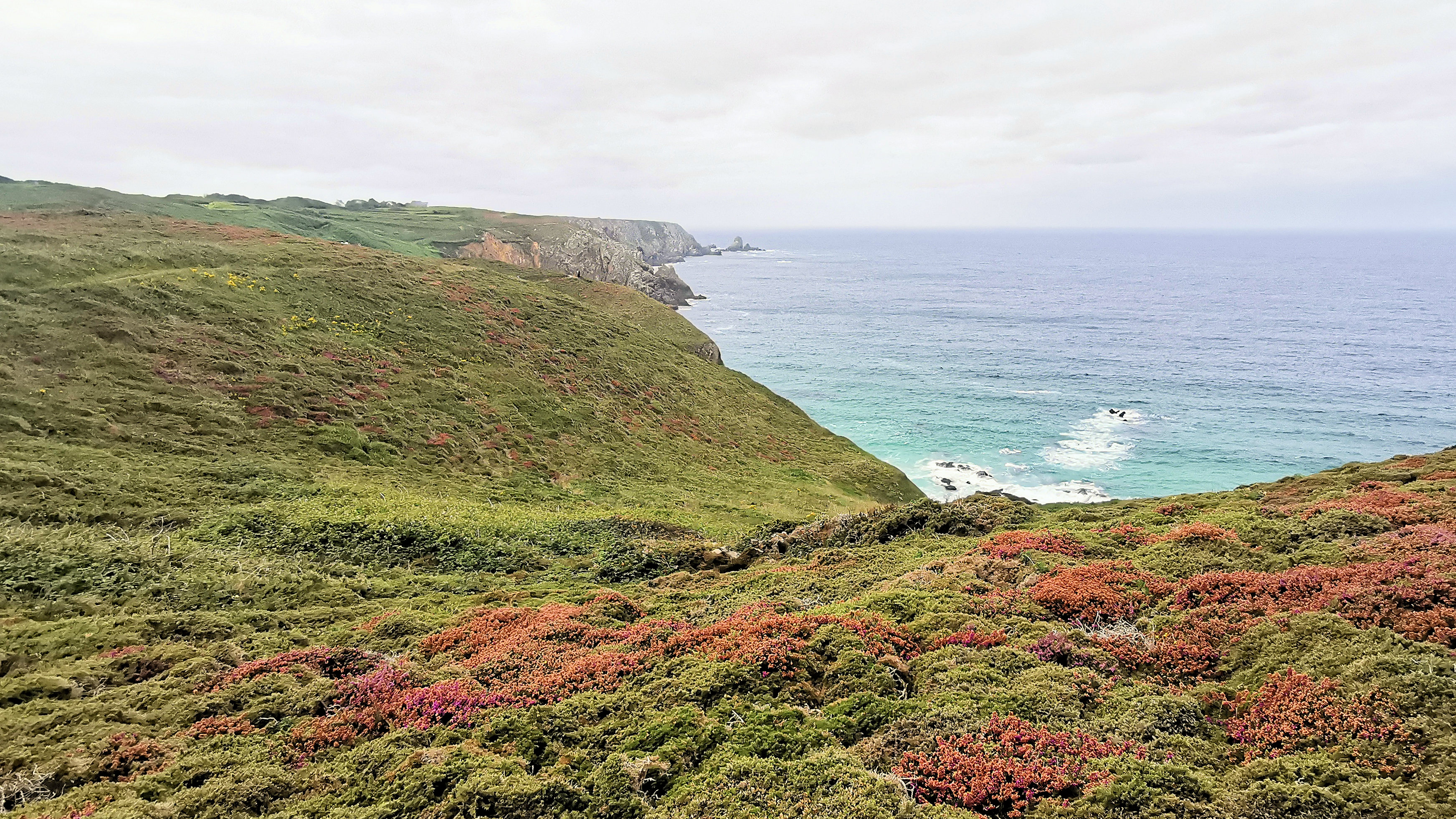 253-IMG_20210815_150954