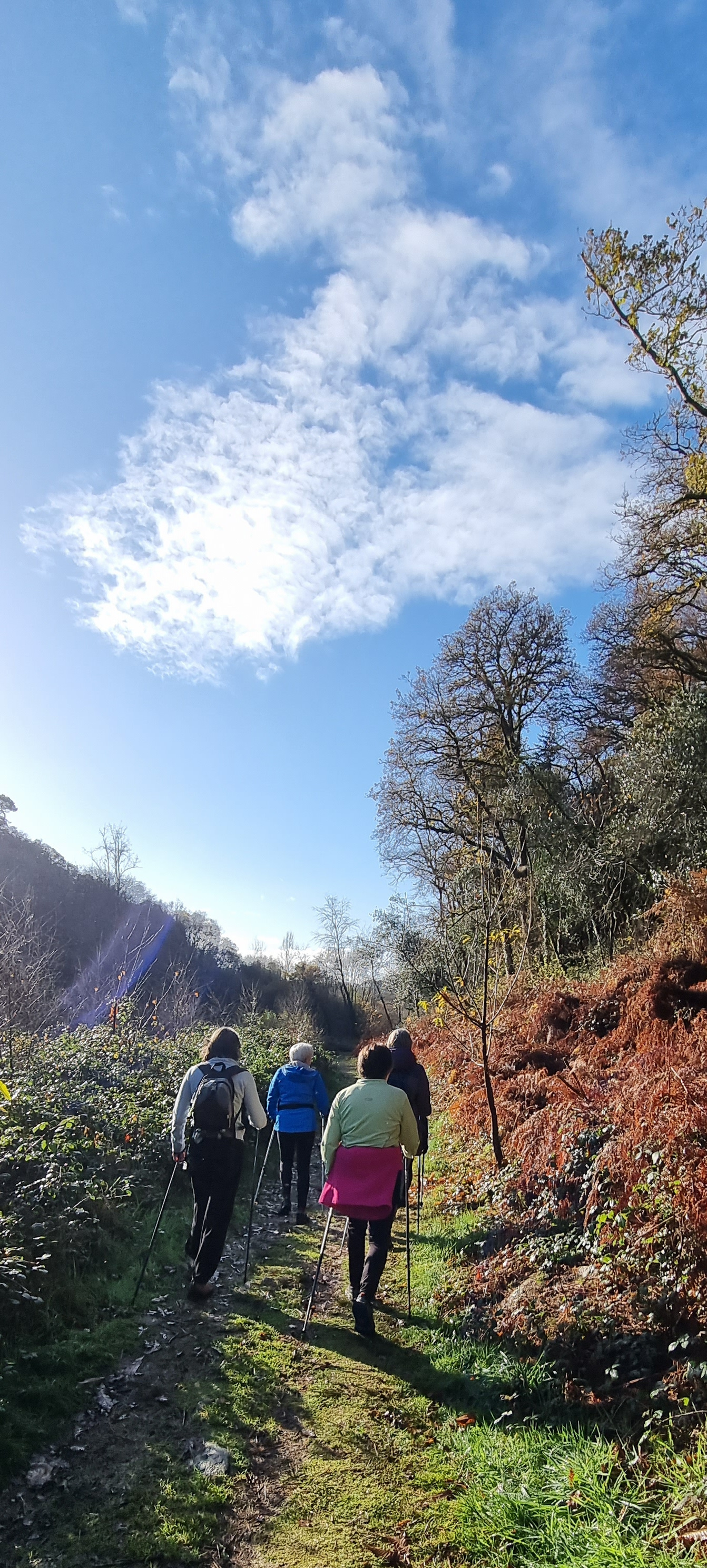 85-20211202_112916(0)