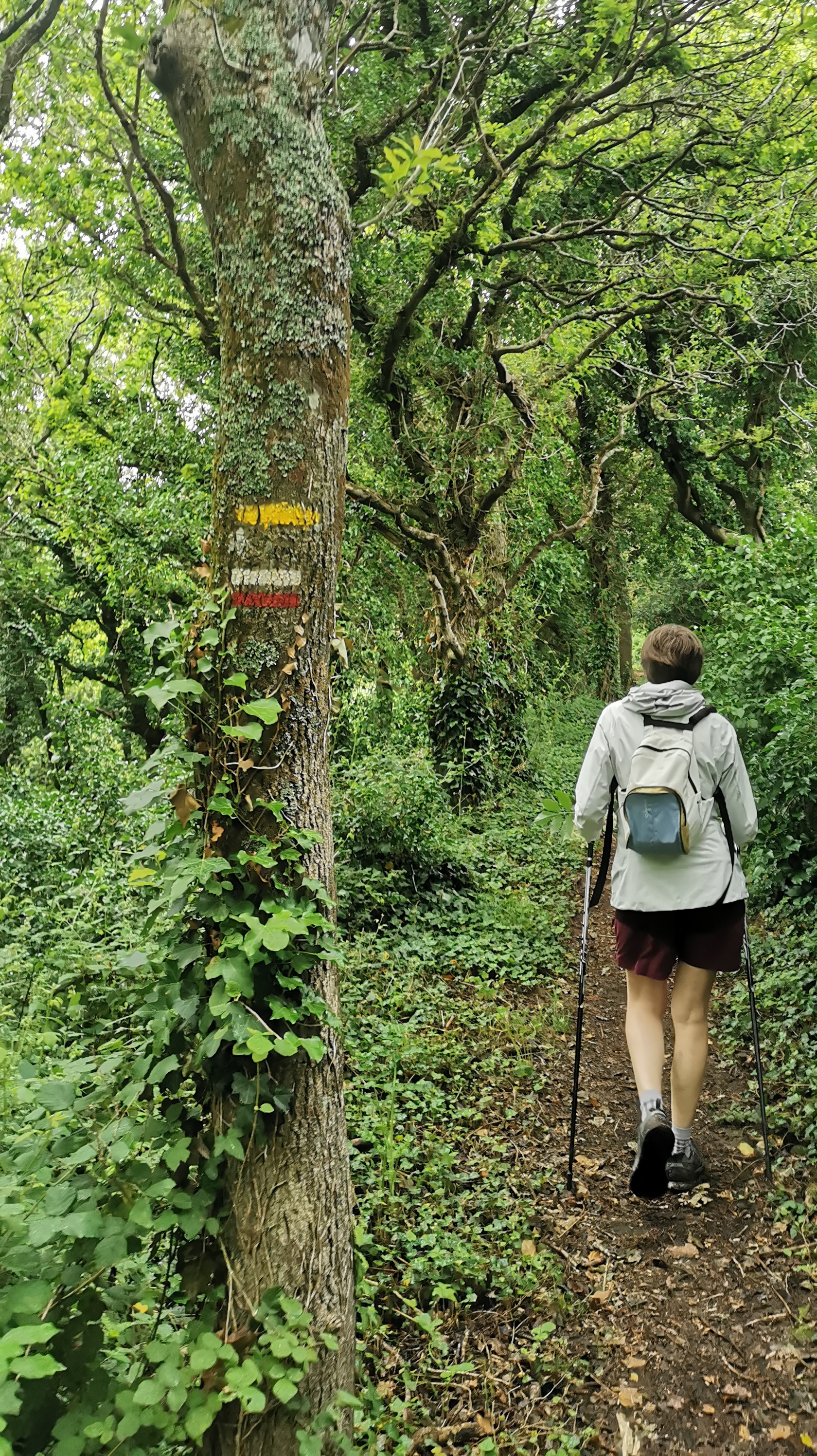 129-IMG_20210620_110916_1