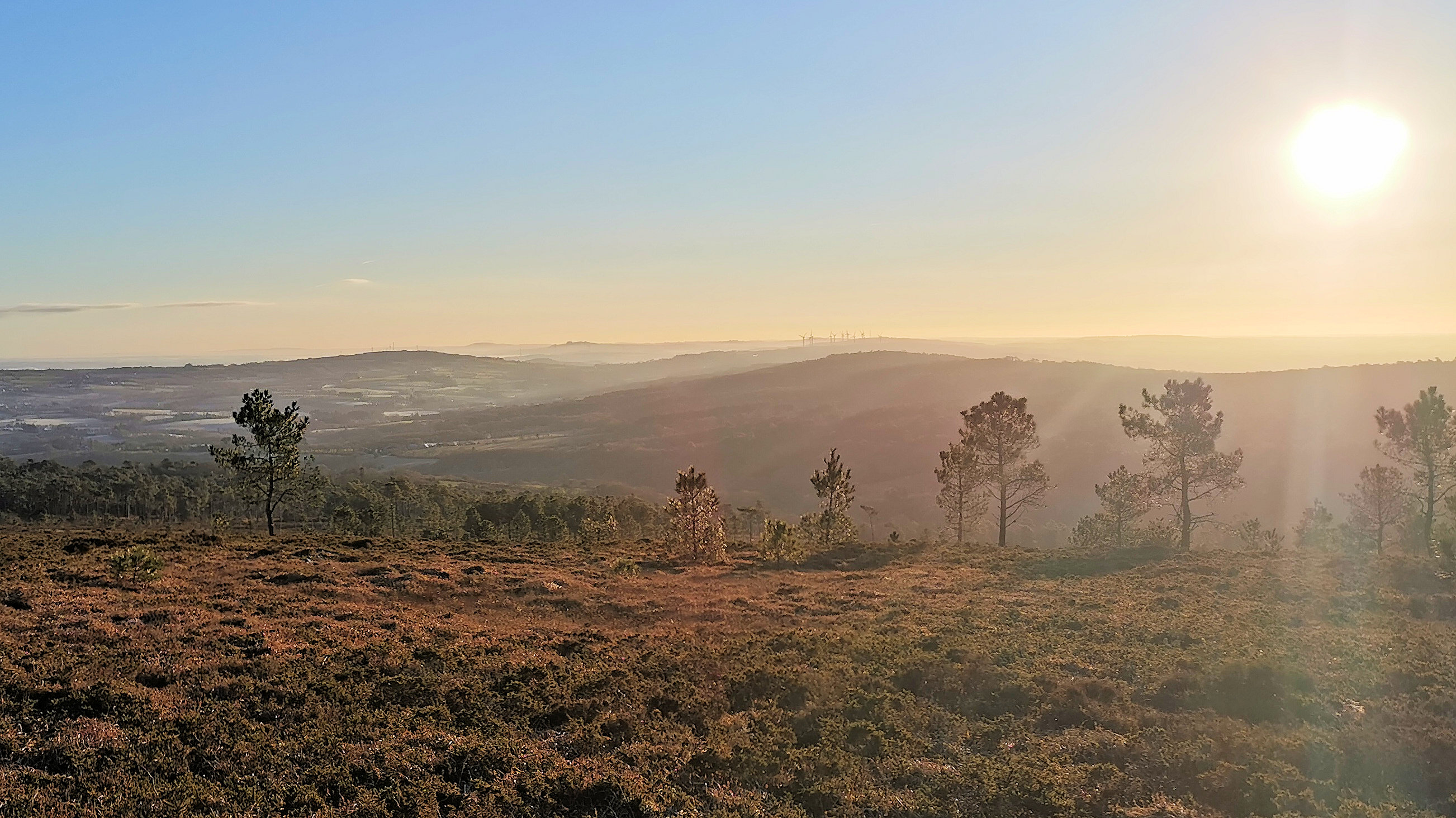 013-IMG_20210110_095308