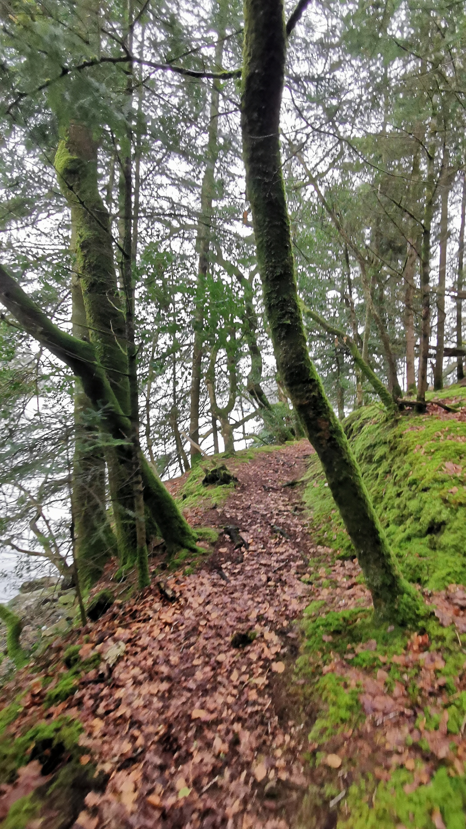 060-IMG_20210220_111226