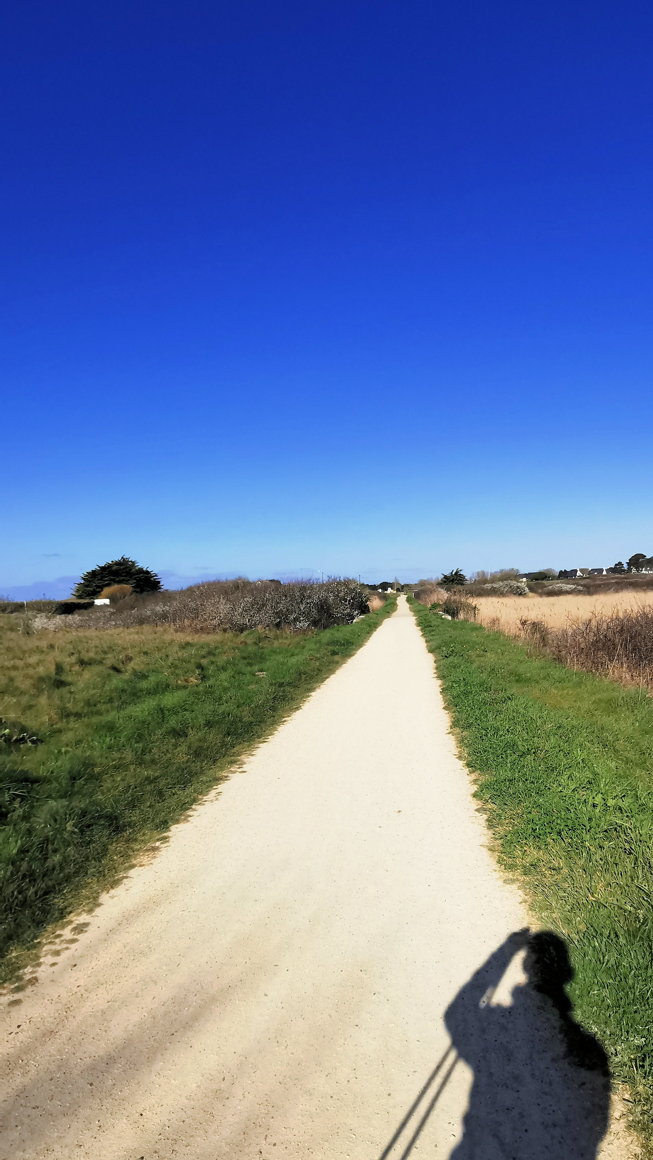 27-IMG_20210403_104520