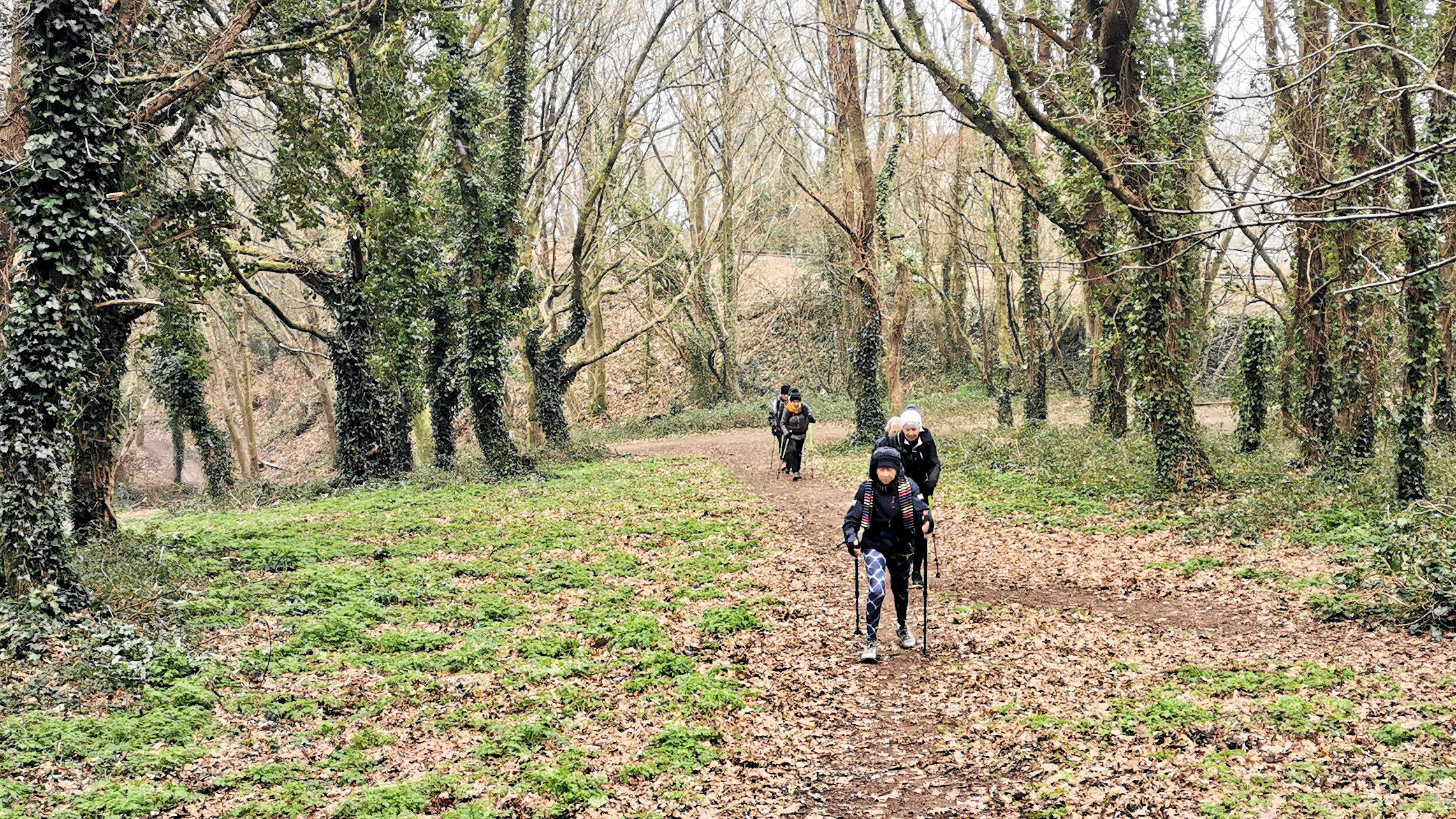 8-IMG_20210209_104251