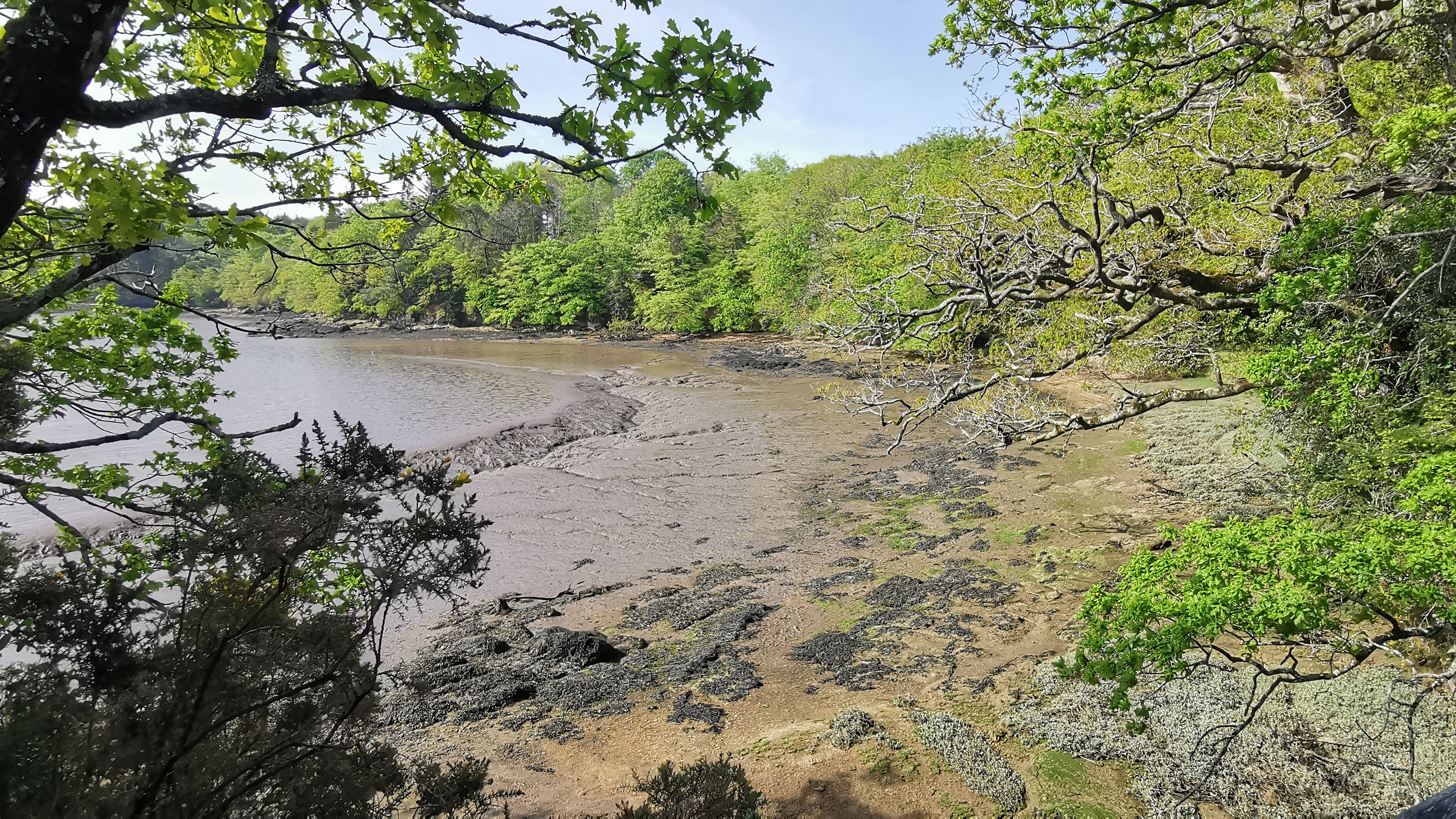 55-IMG_20210425_105157